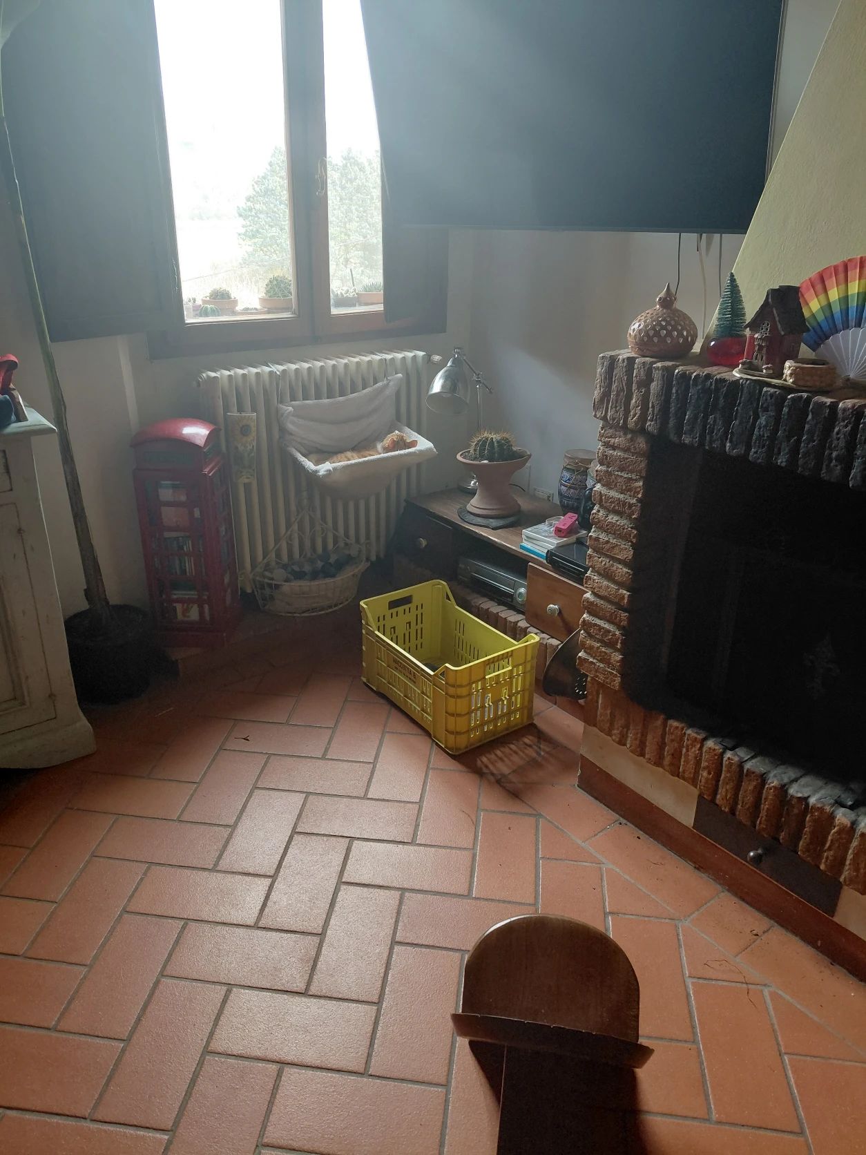 image-20