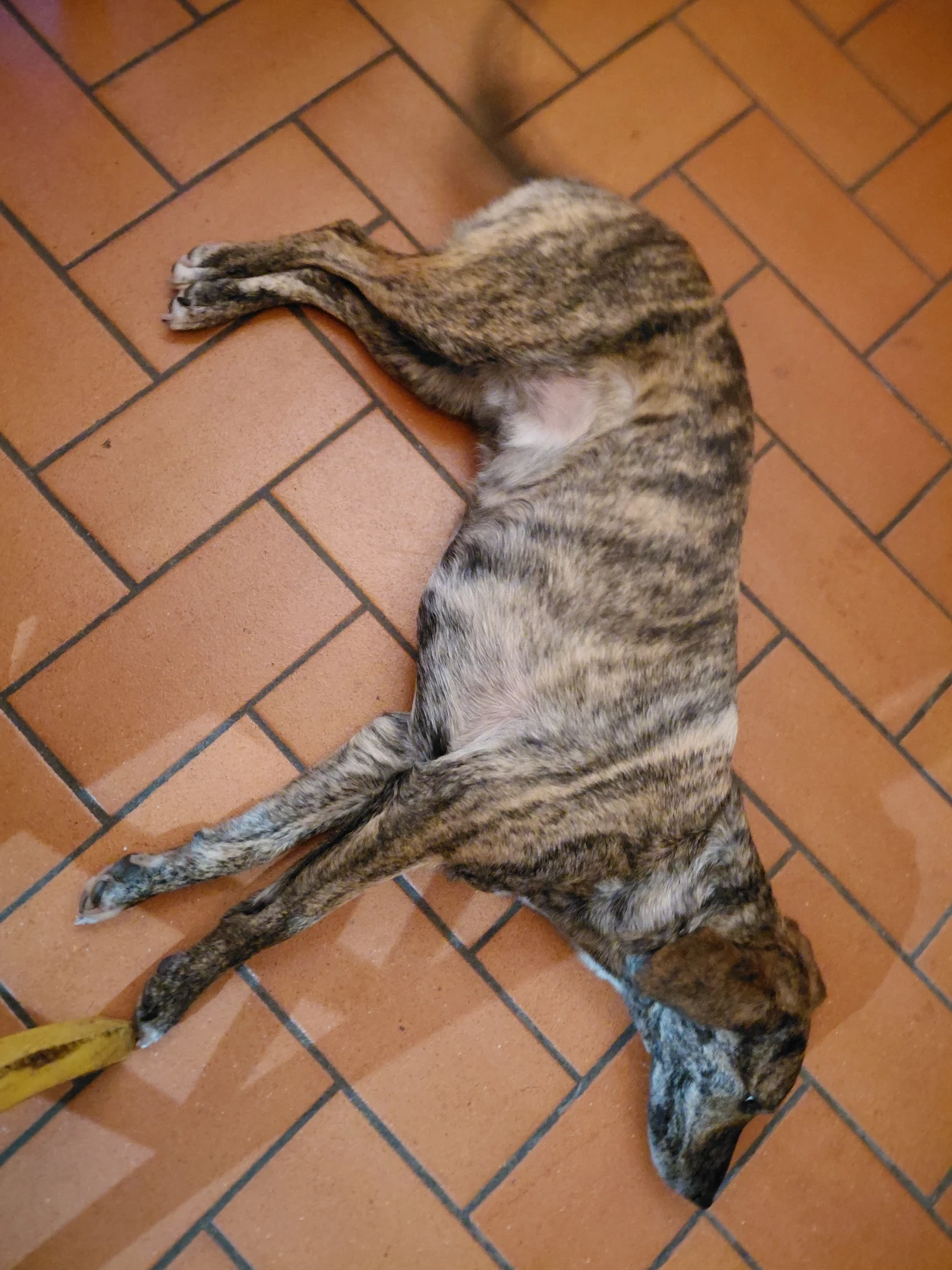 image-9