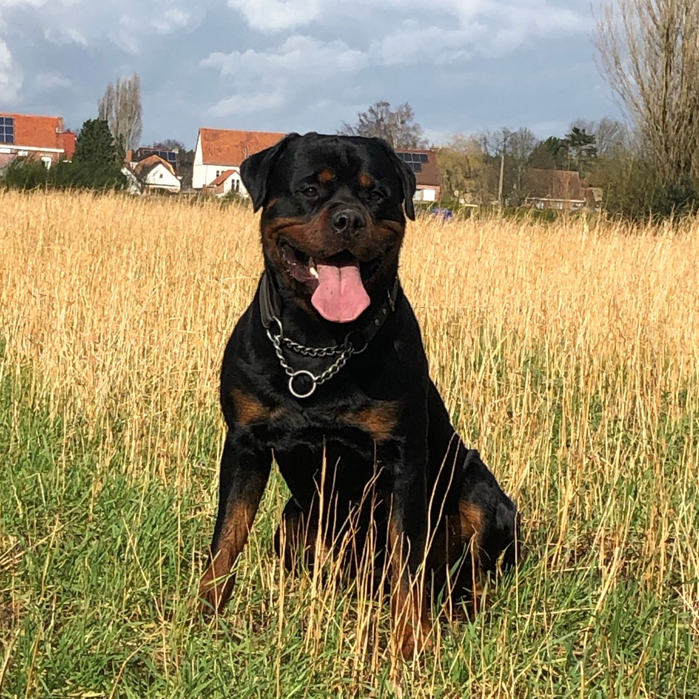Sky