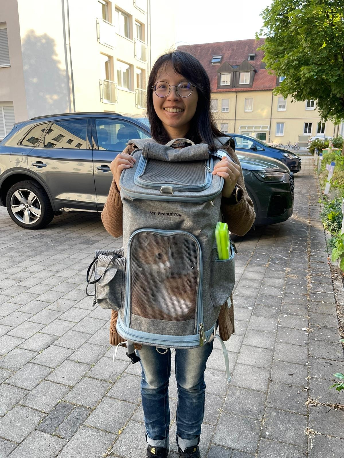 image-6