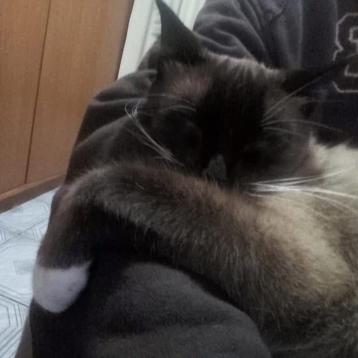 Castiel