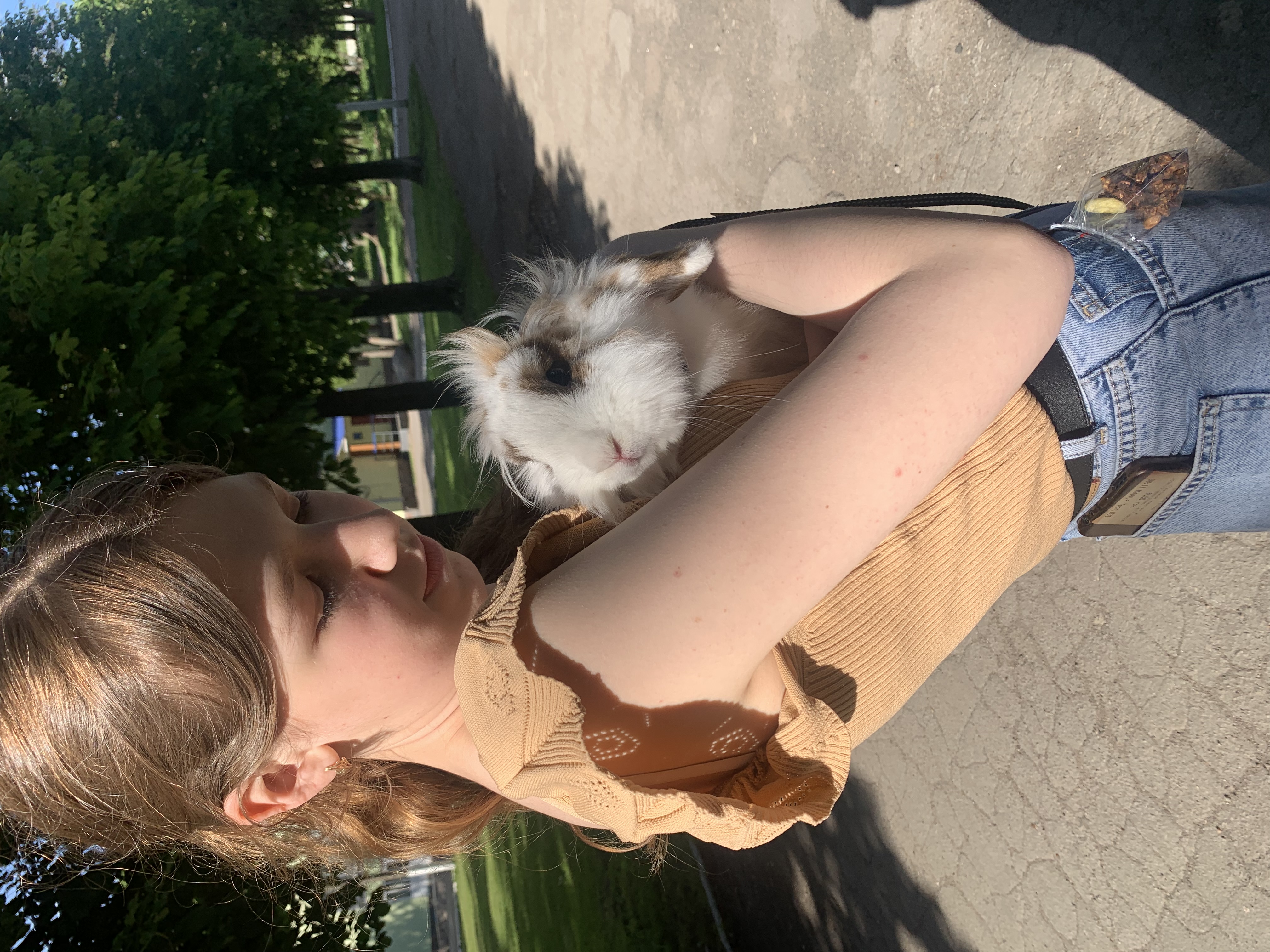 image-5