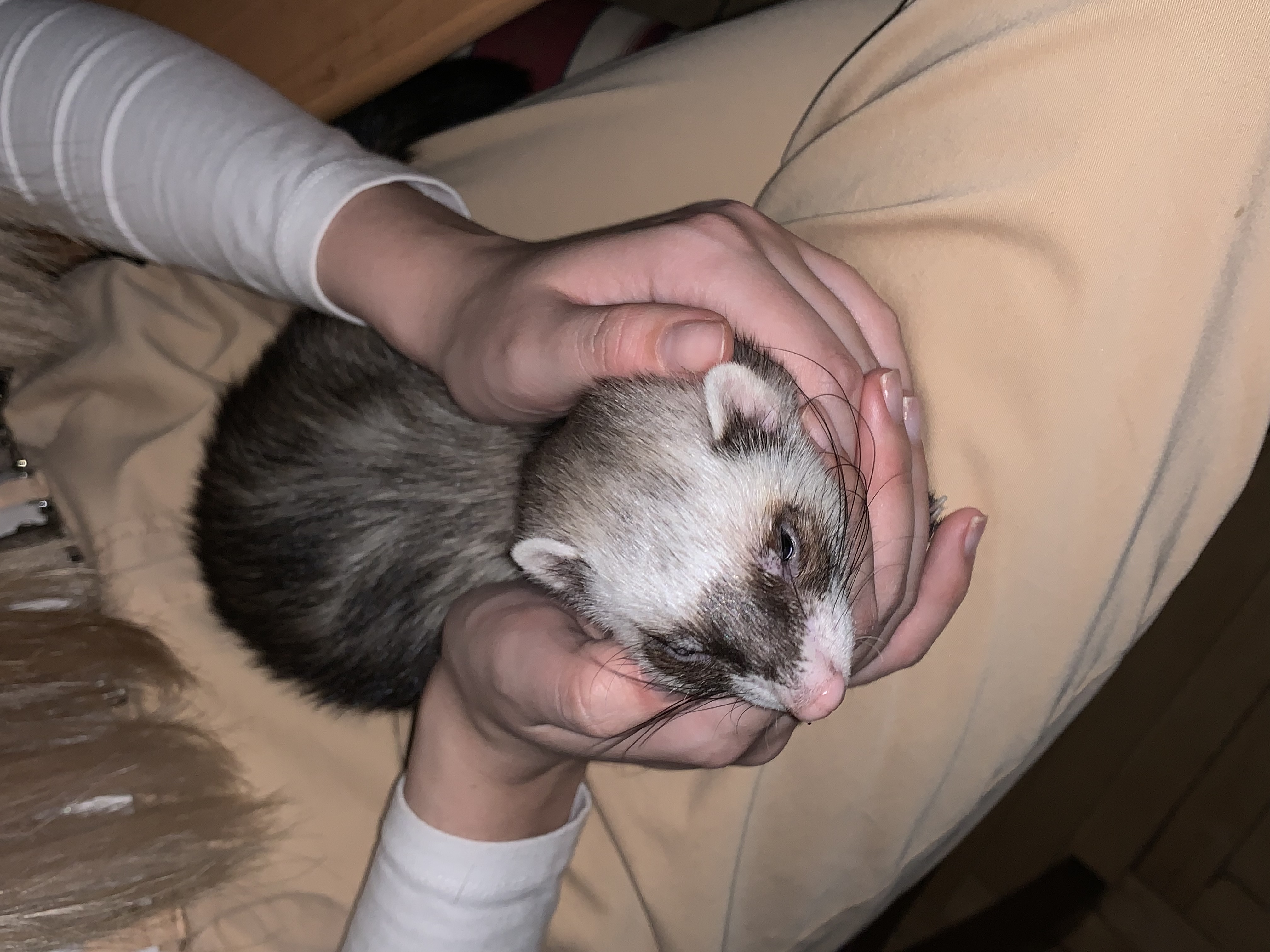 image-22