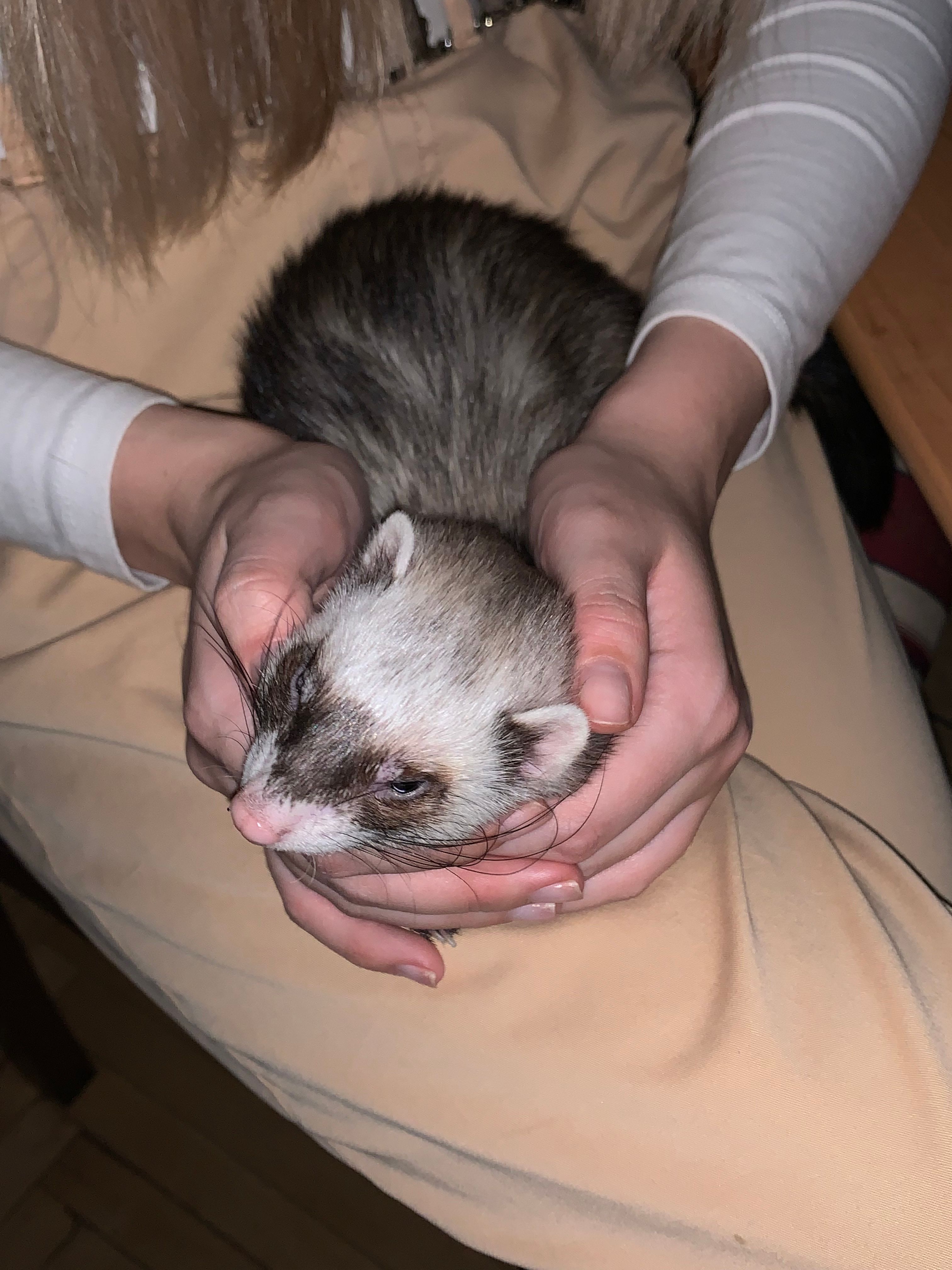 image-22