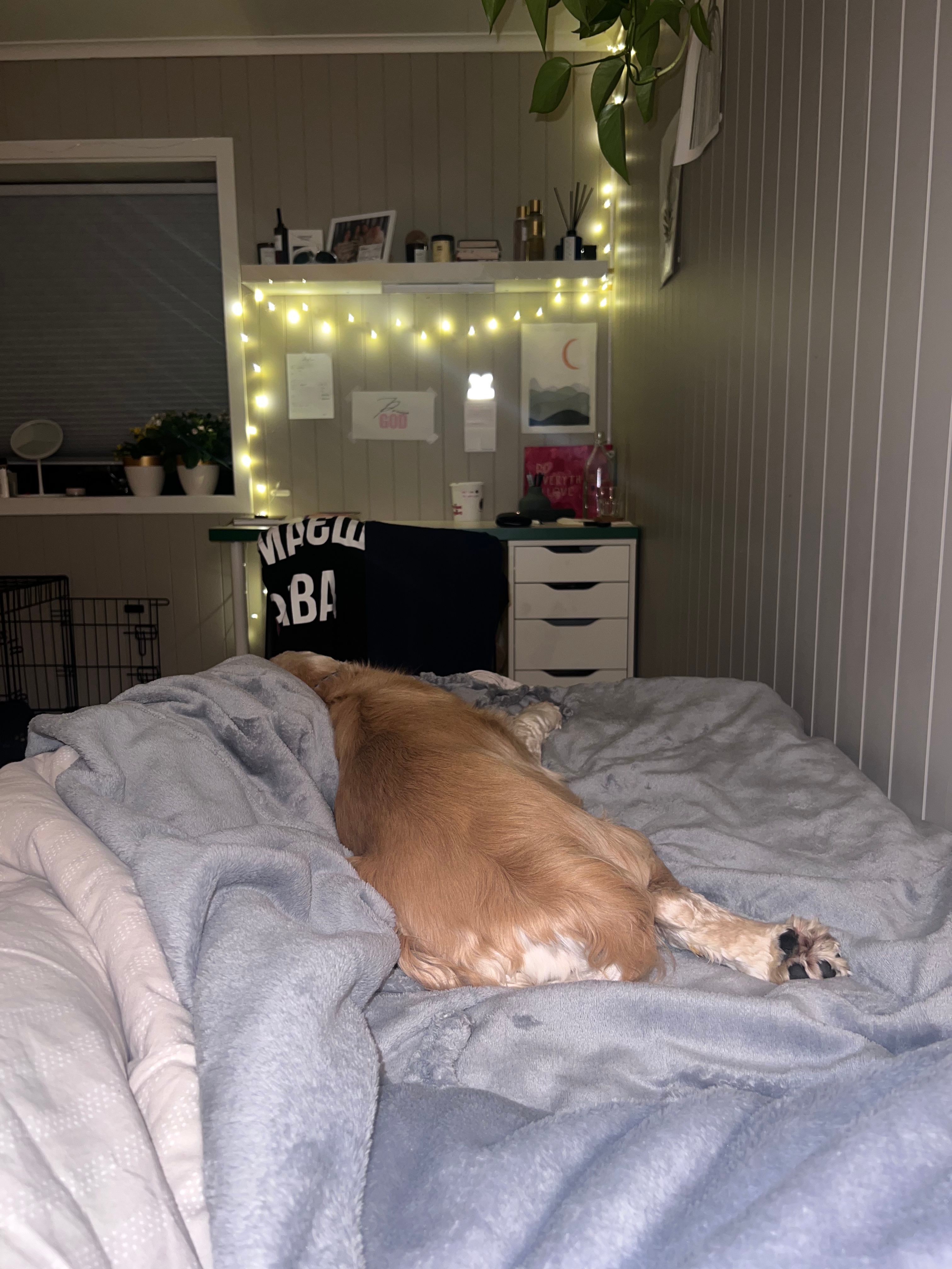 image-15