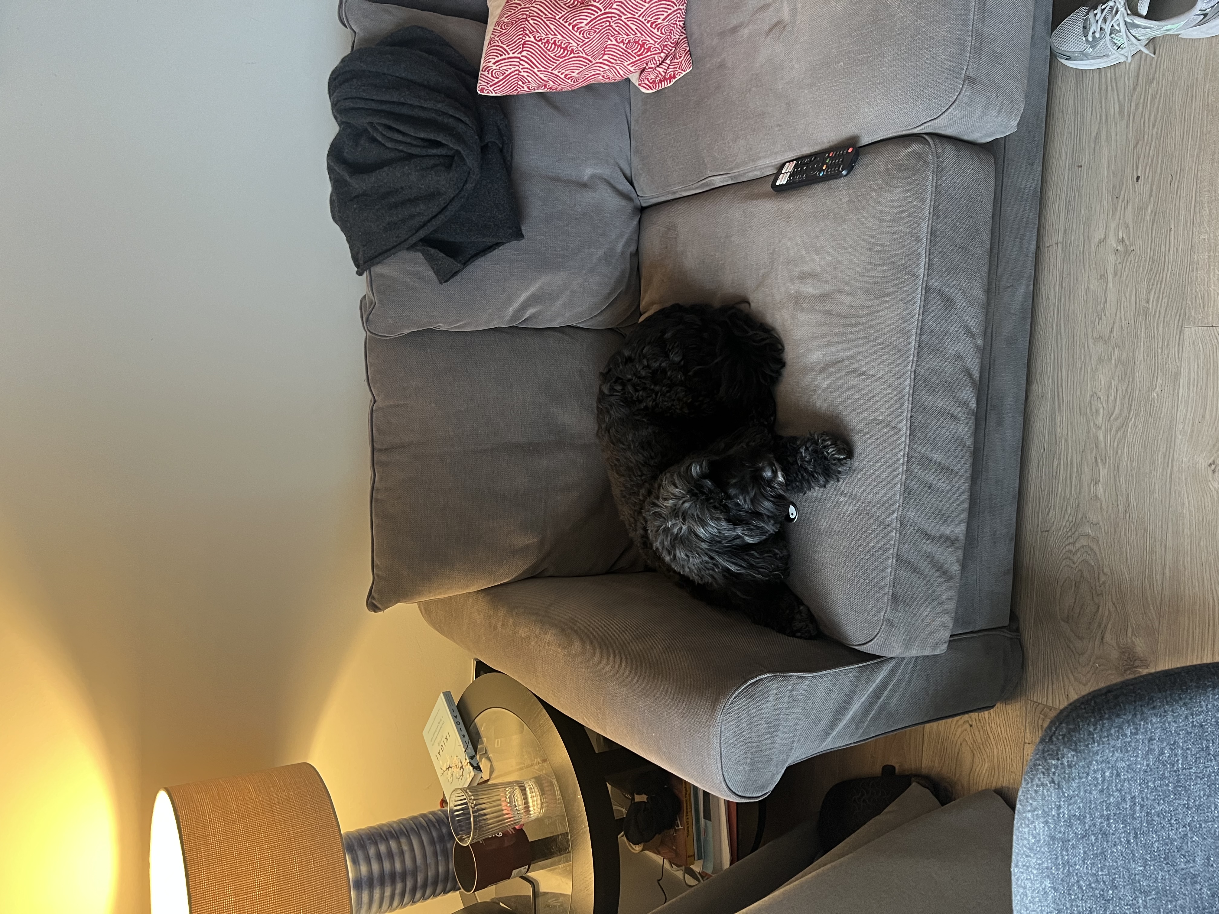 image-8