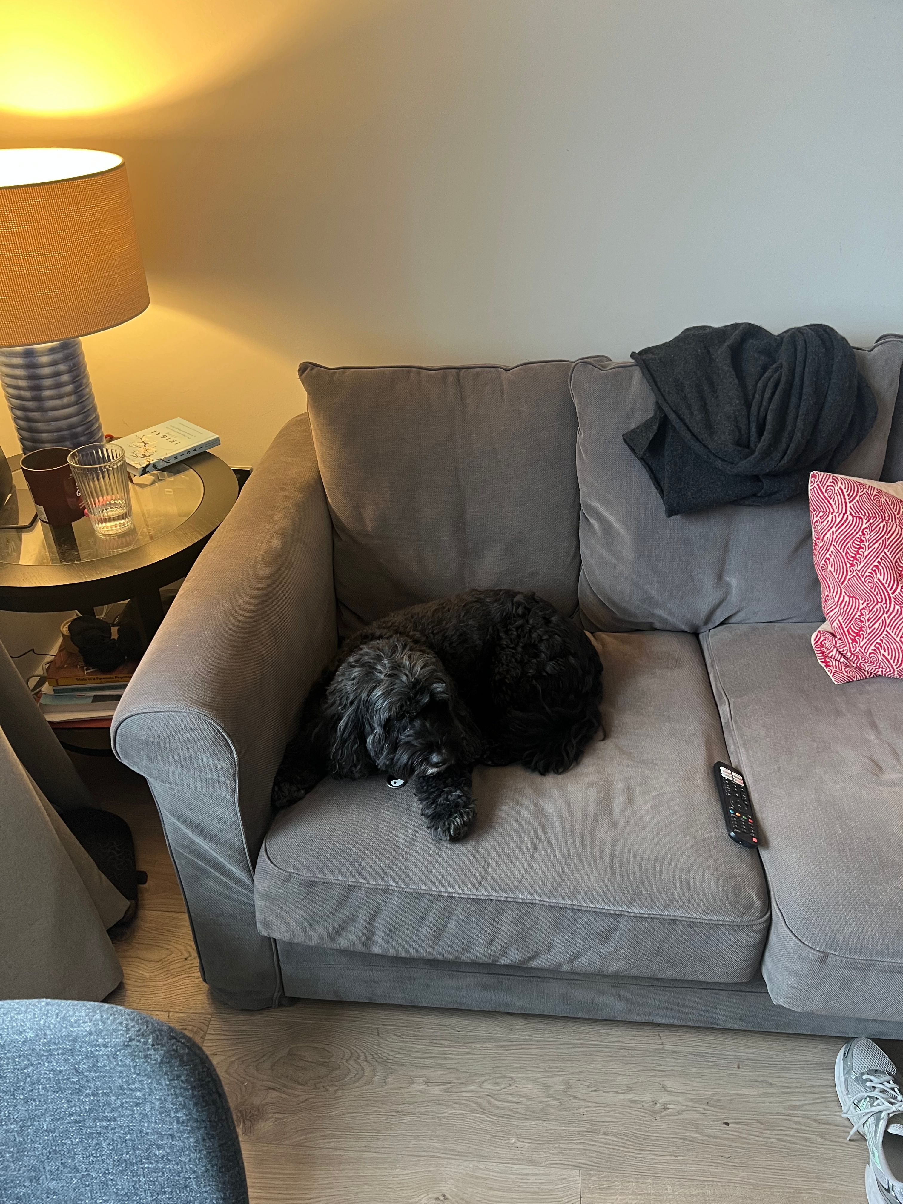 image-8