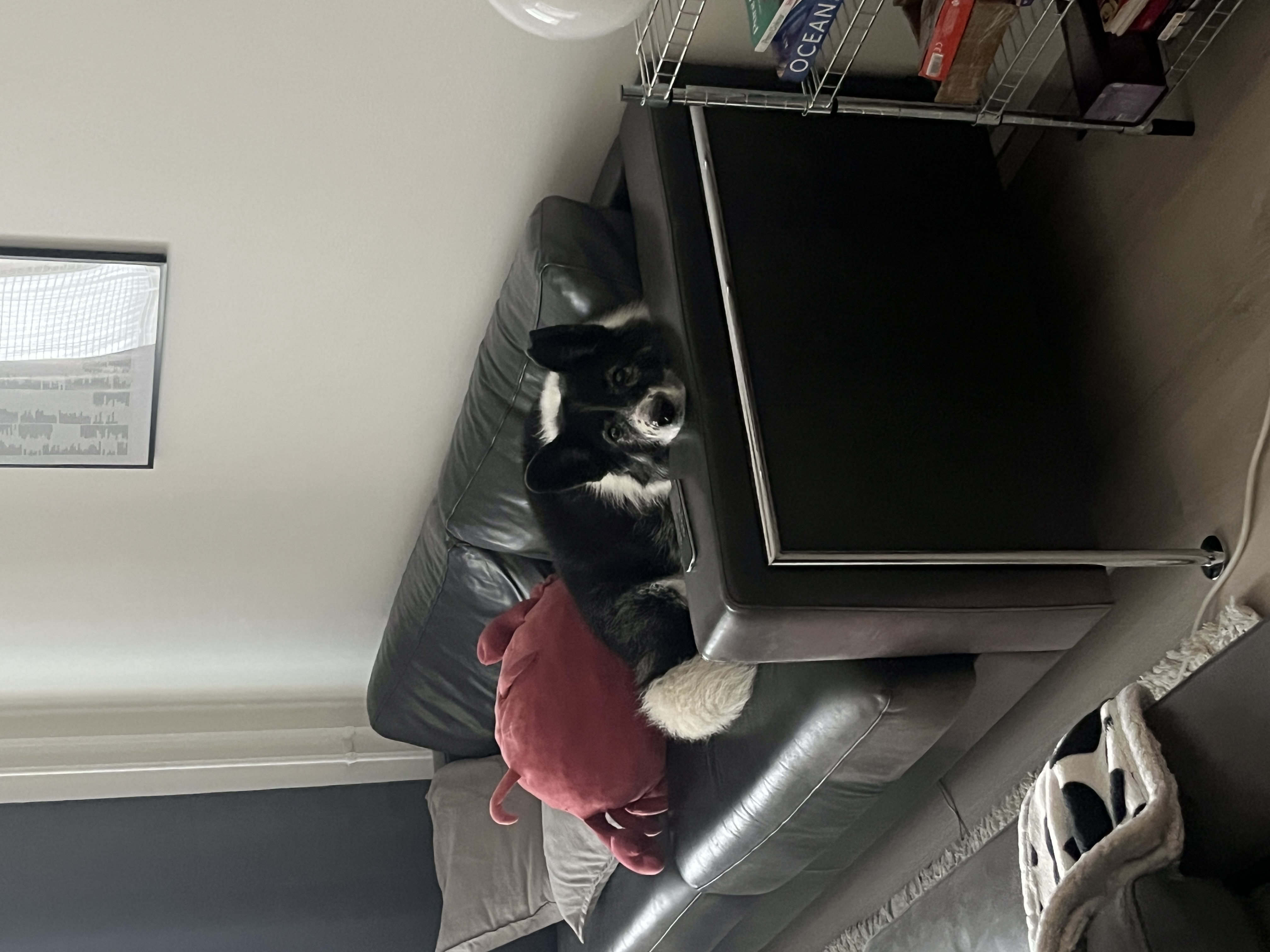 image-10