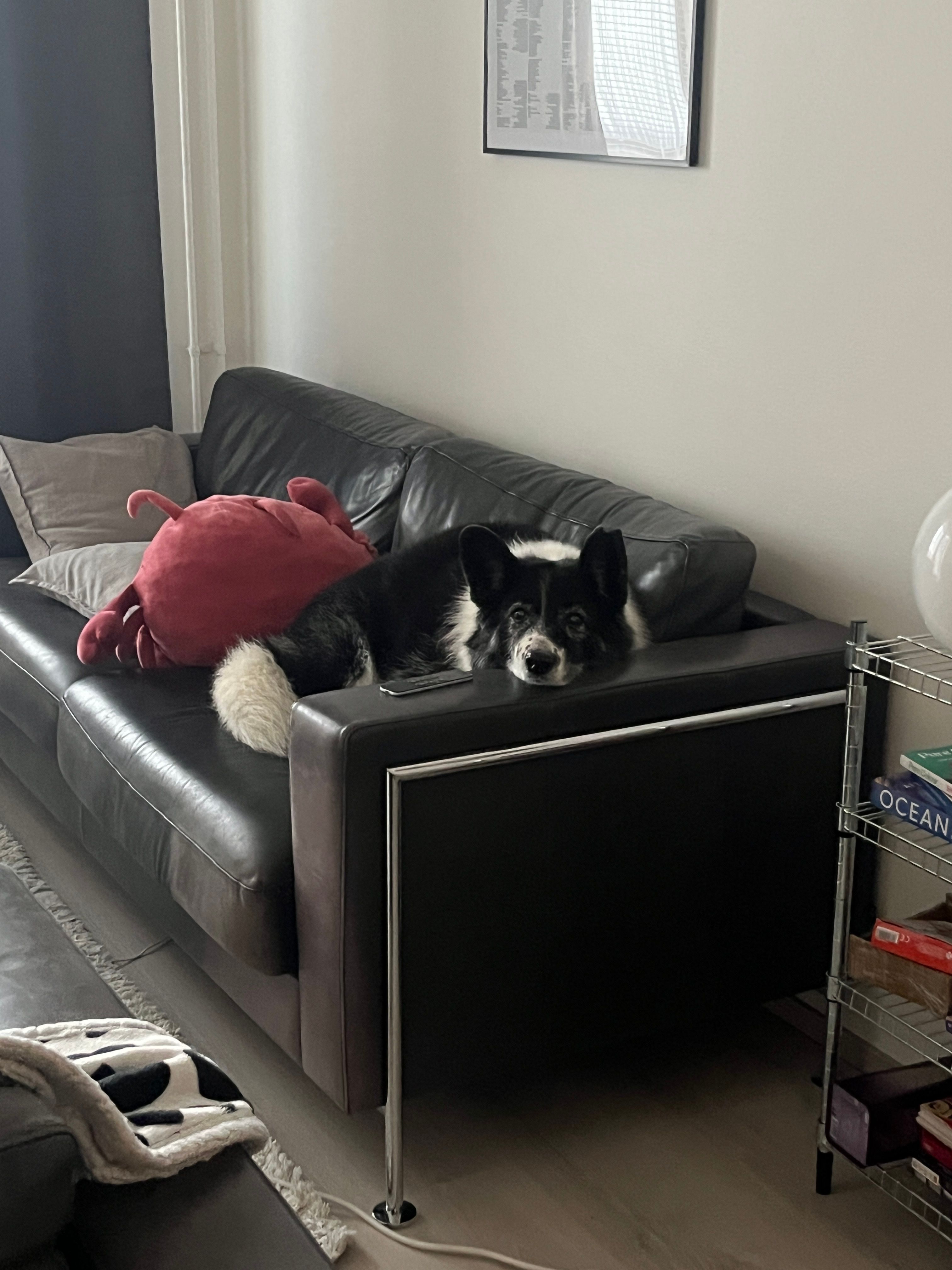 image-10