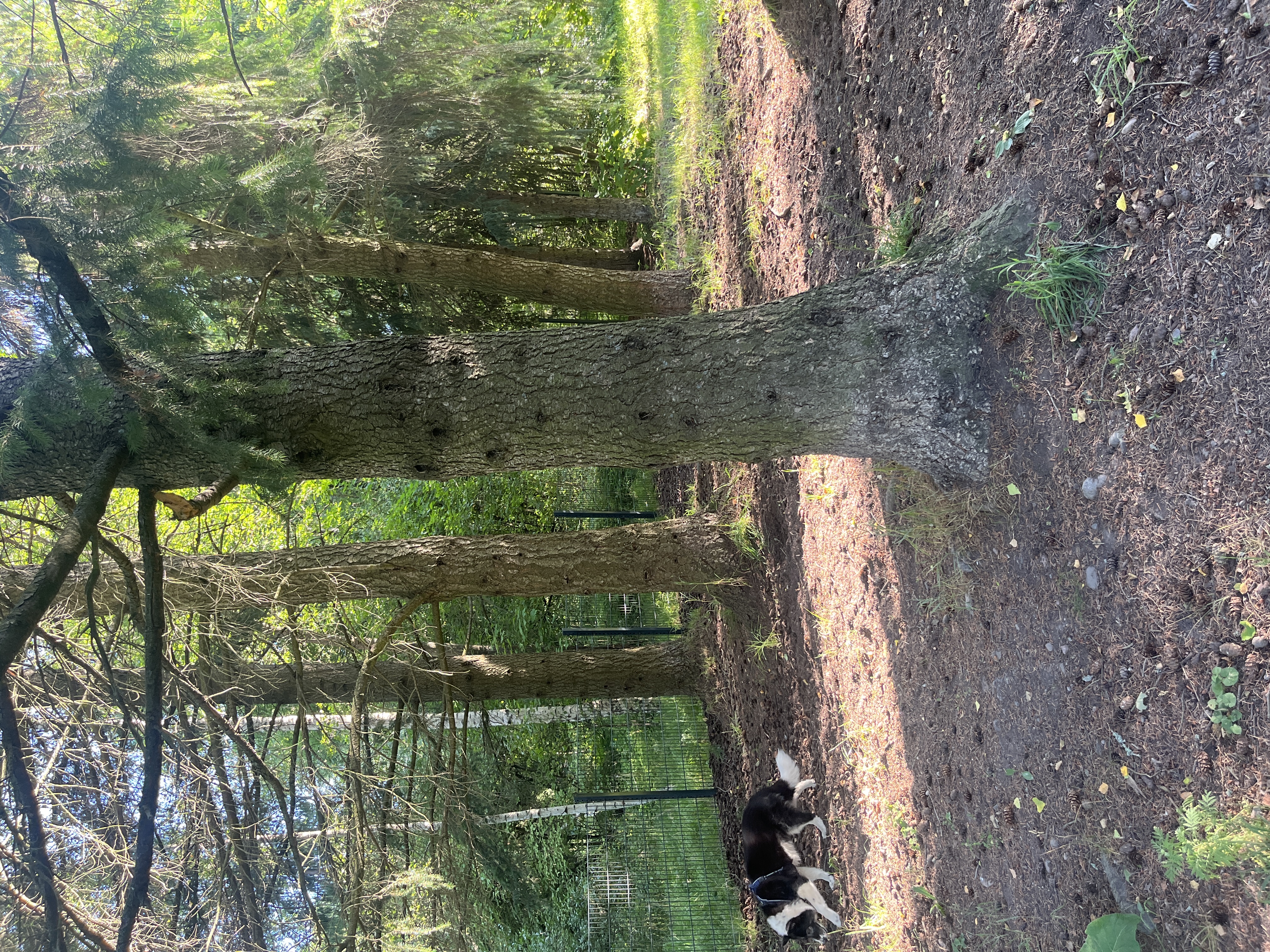 image-15