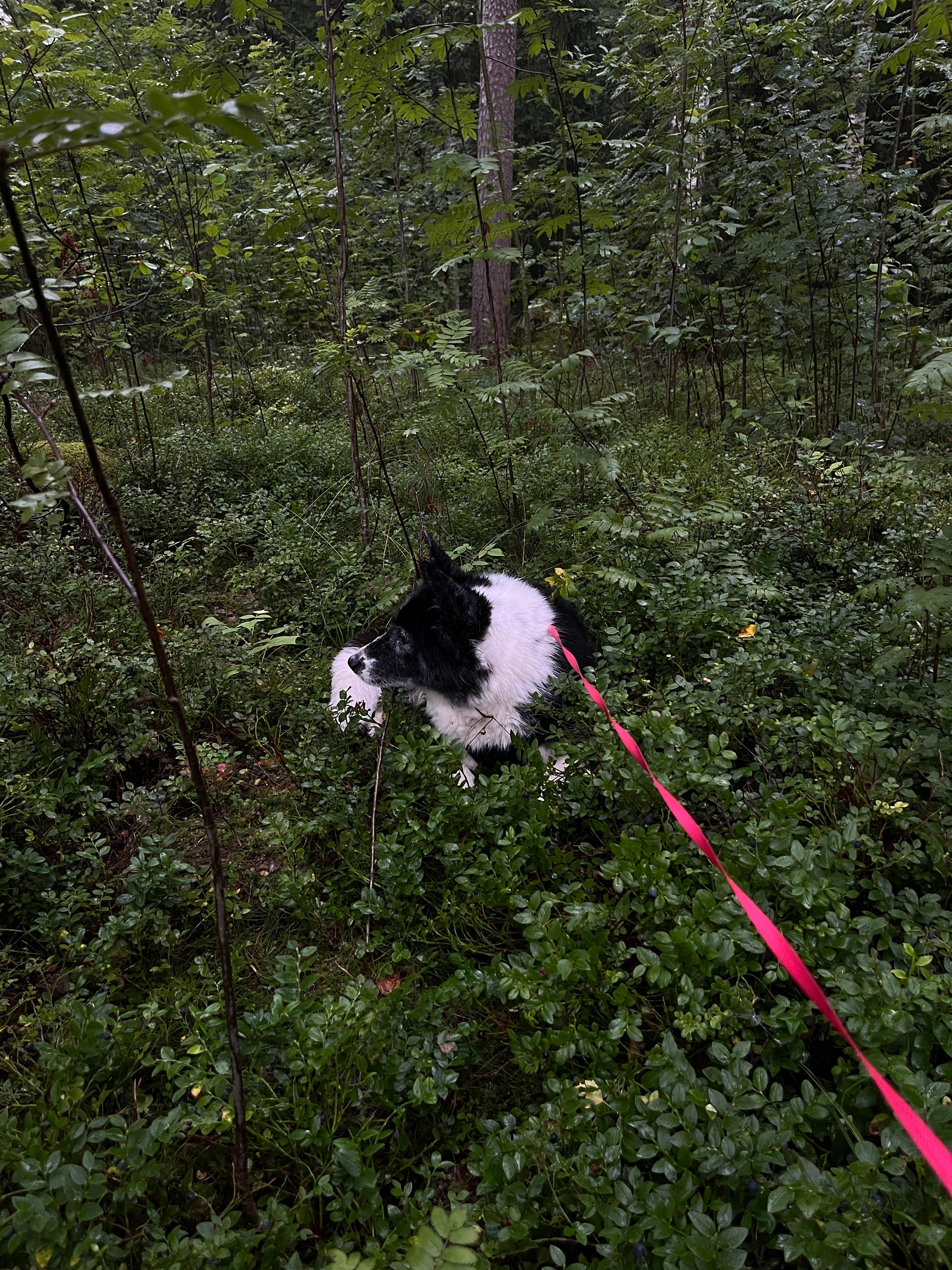 image-16
