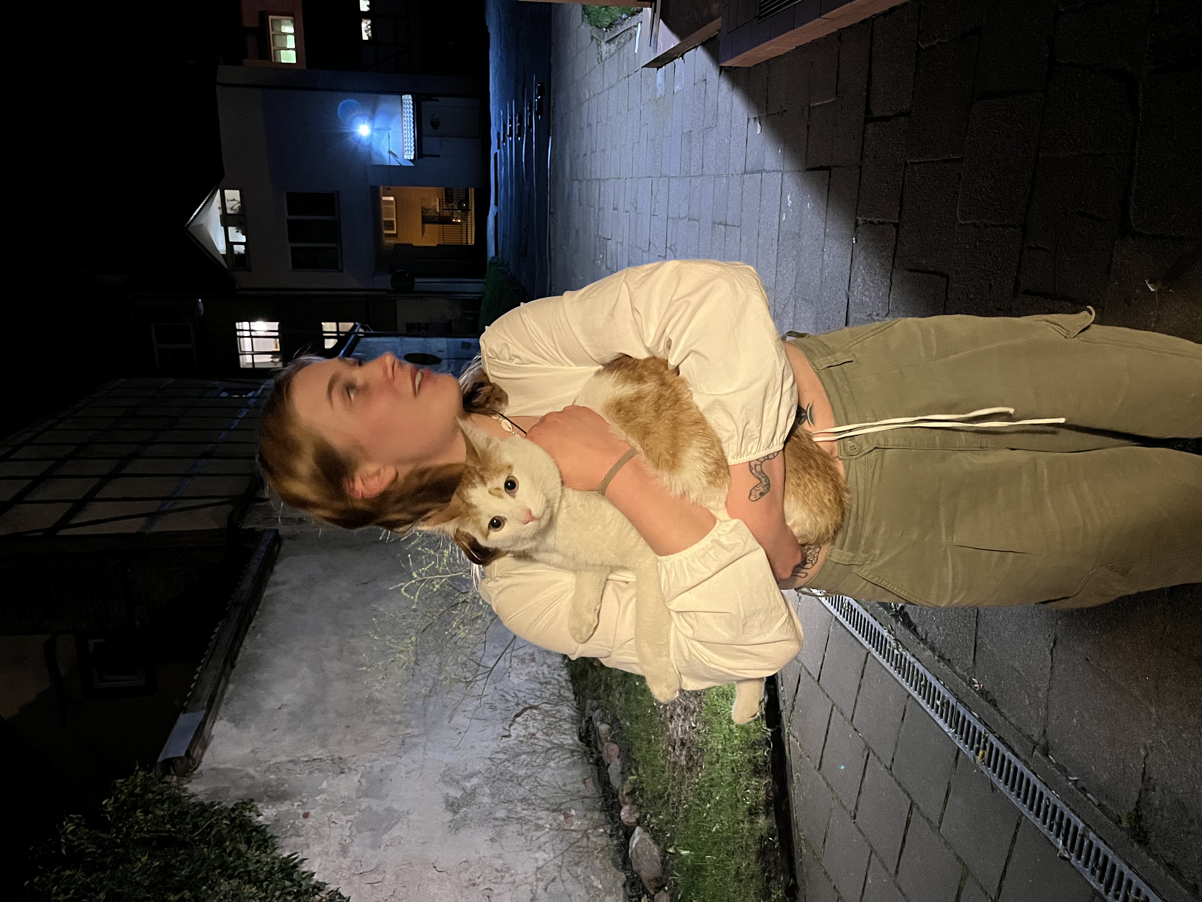 image-14
