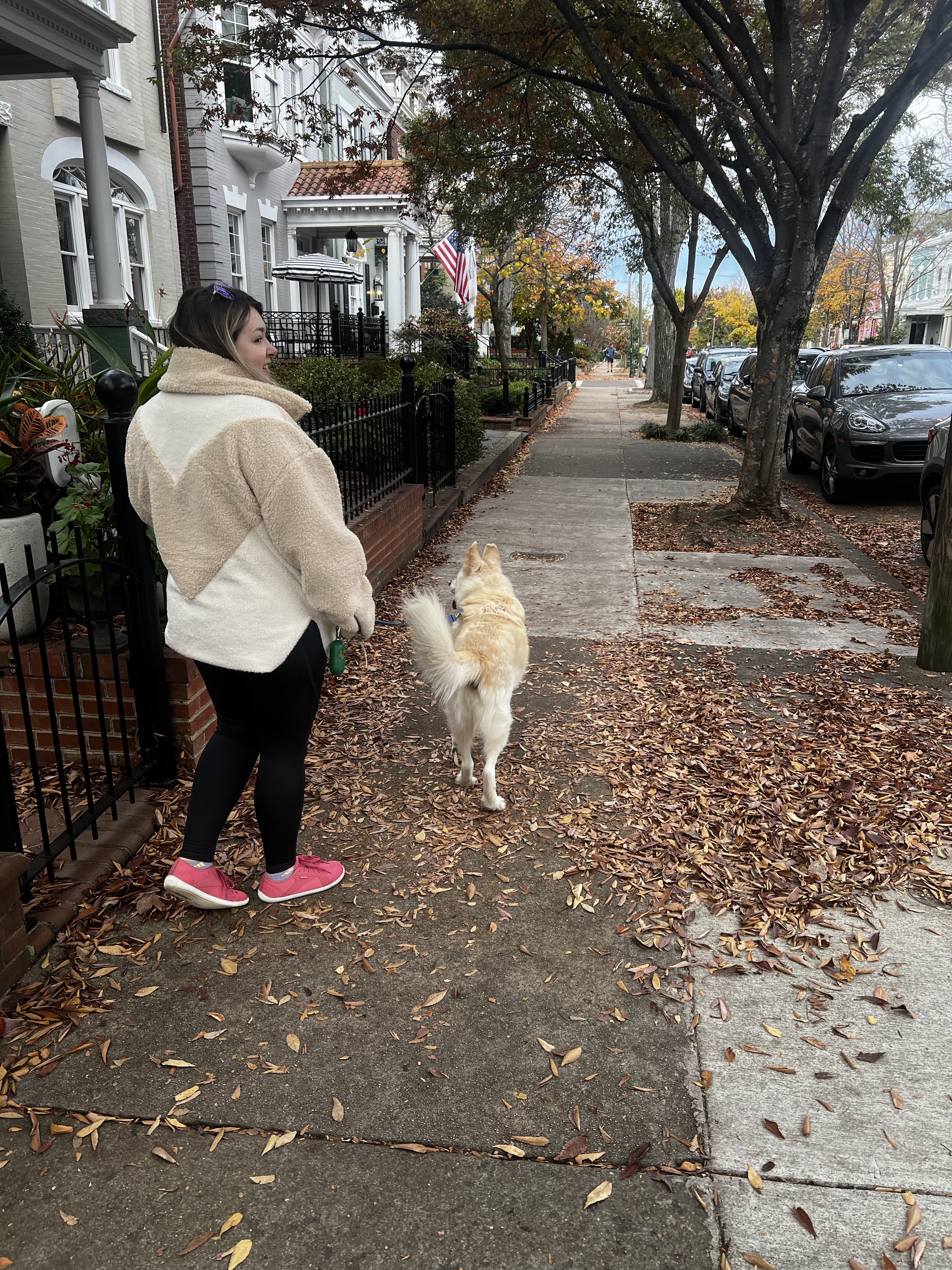 image-20
