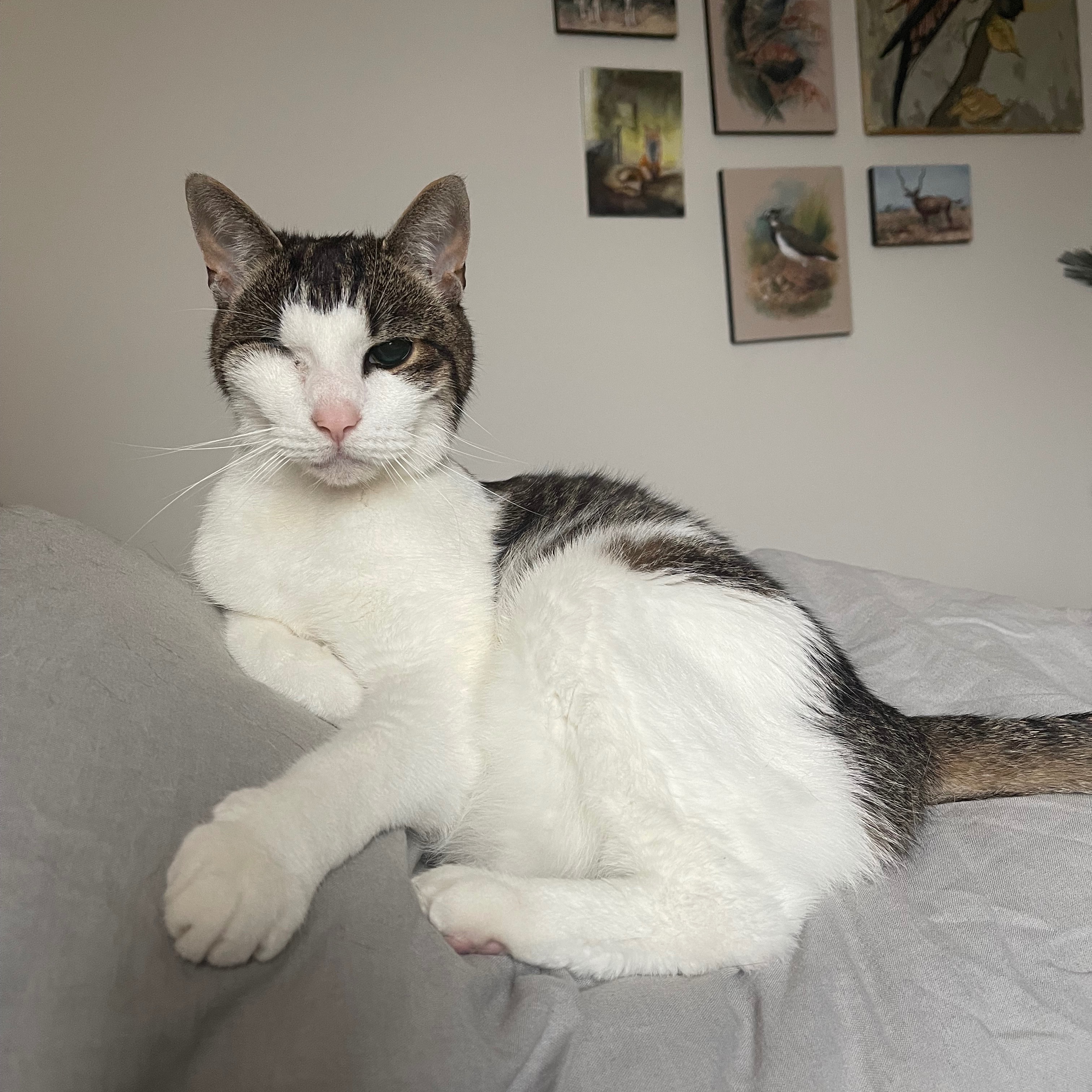 Mo