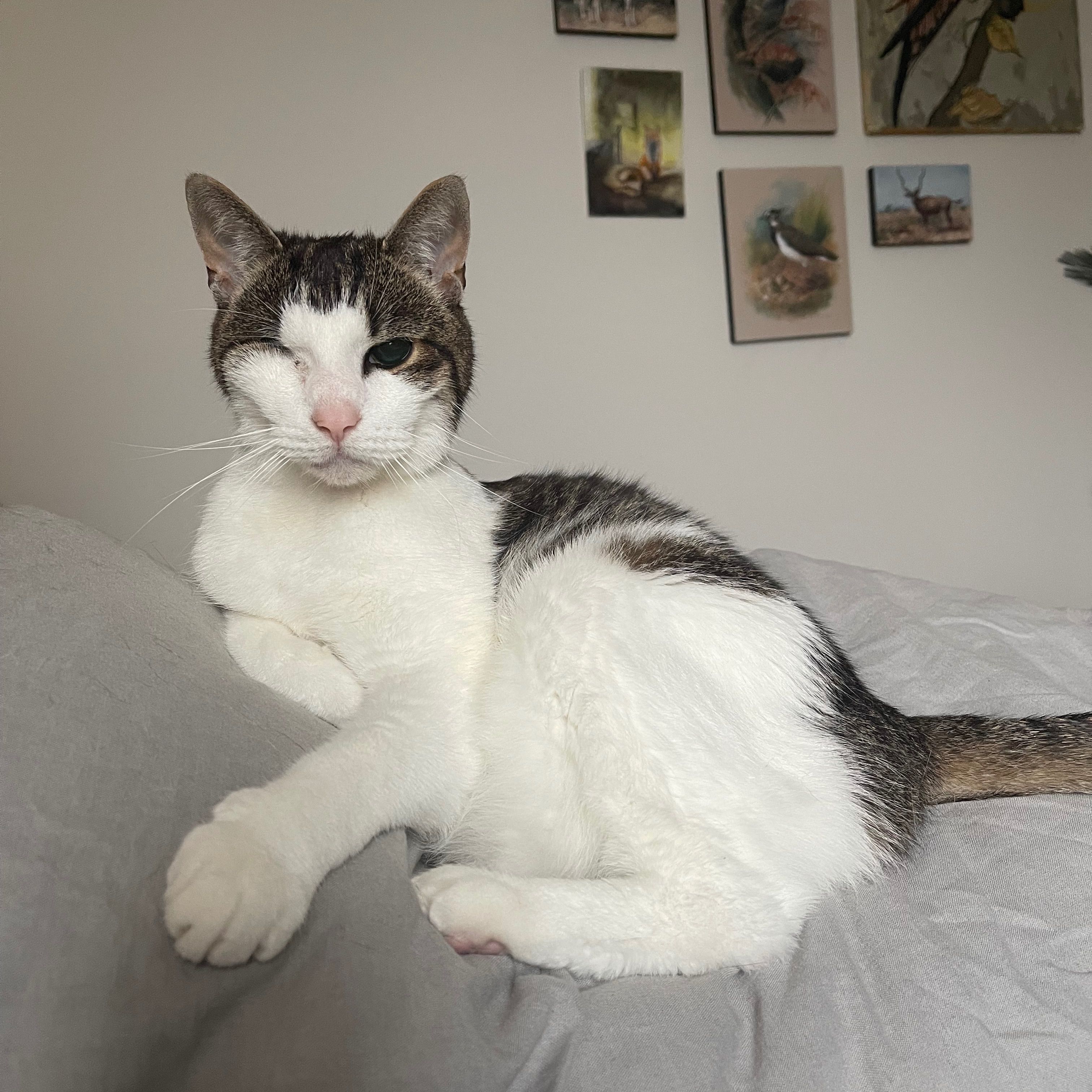 Mo