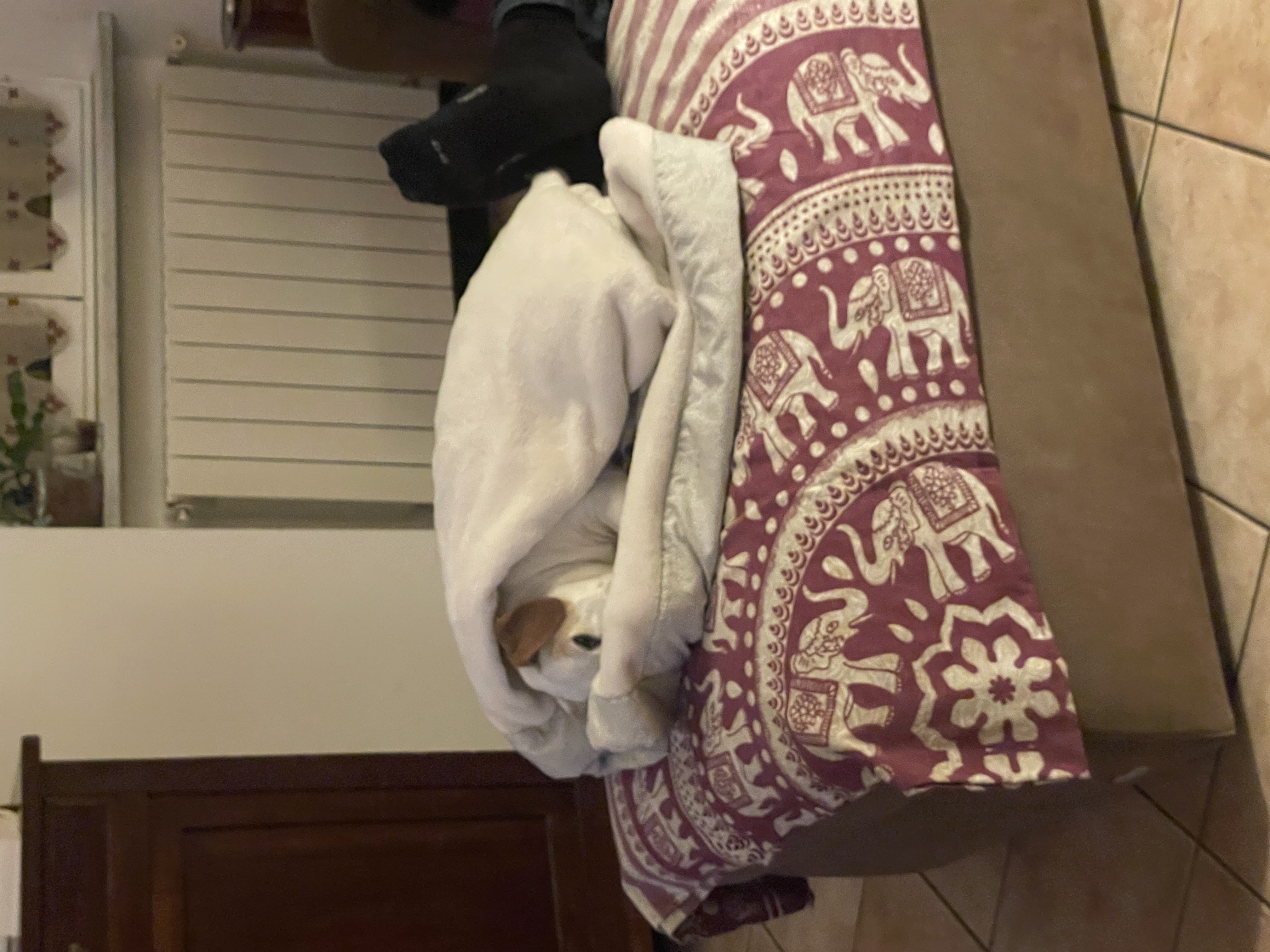 image-7
