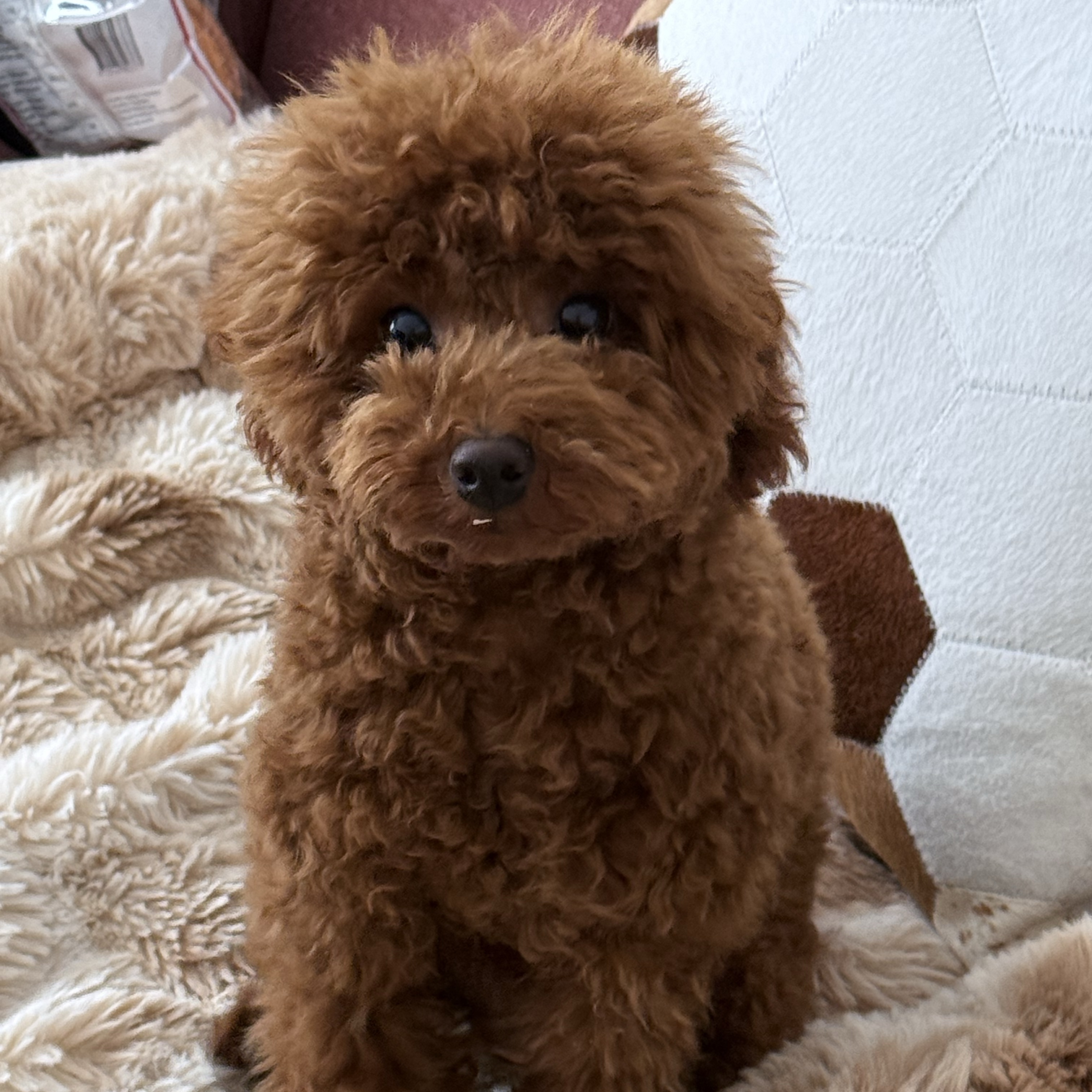 Tyson