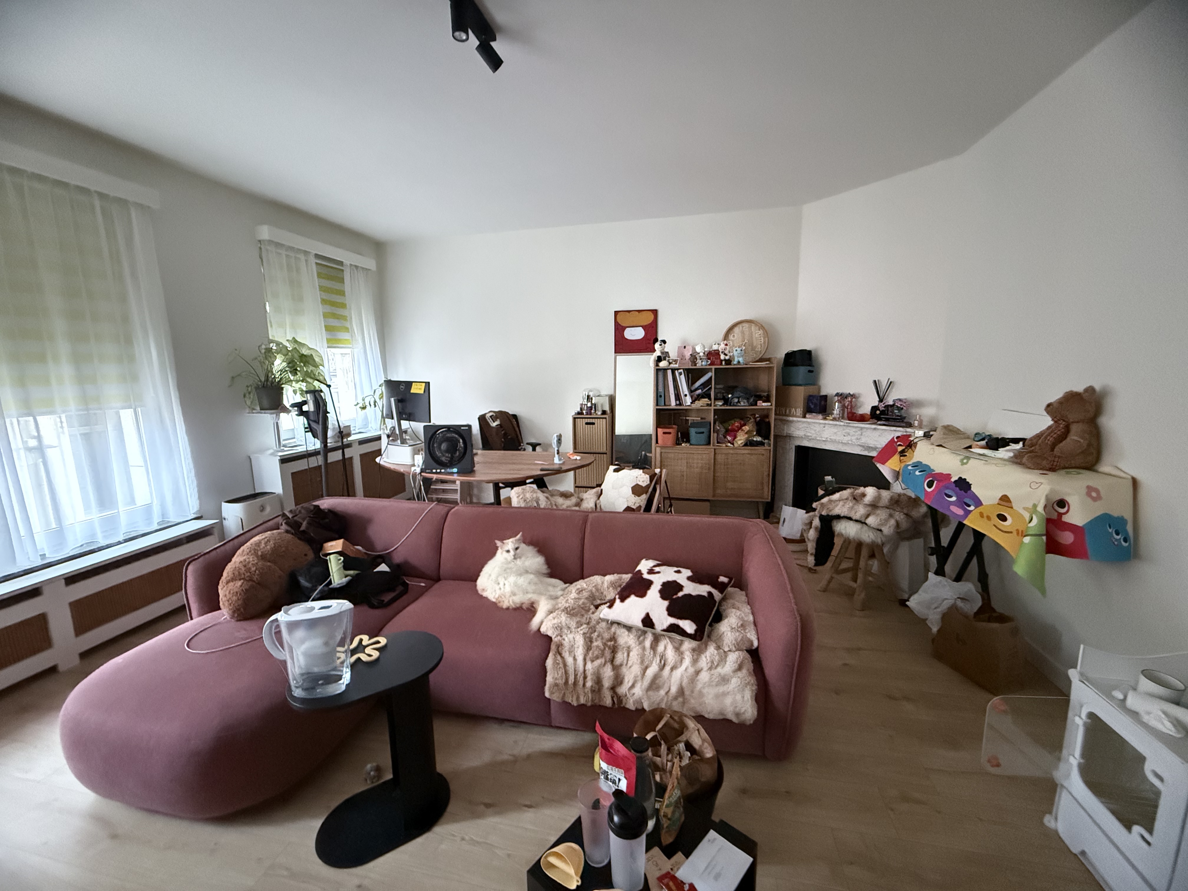 image-7