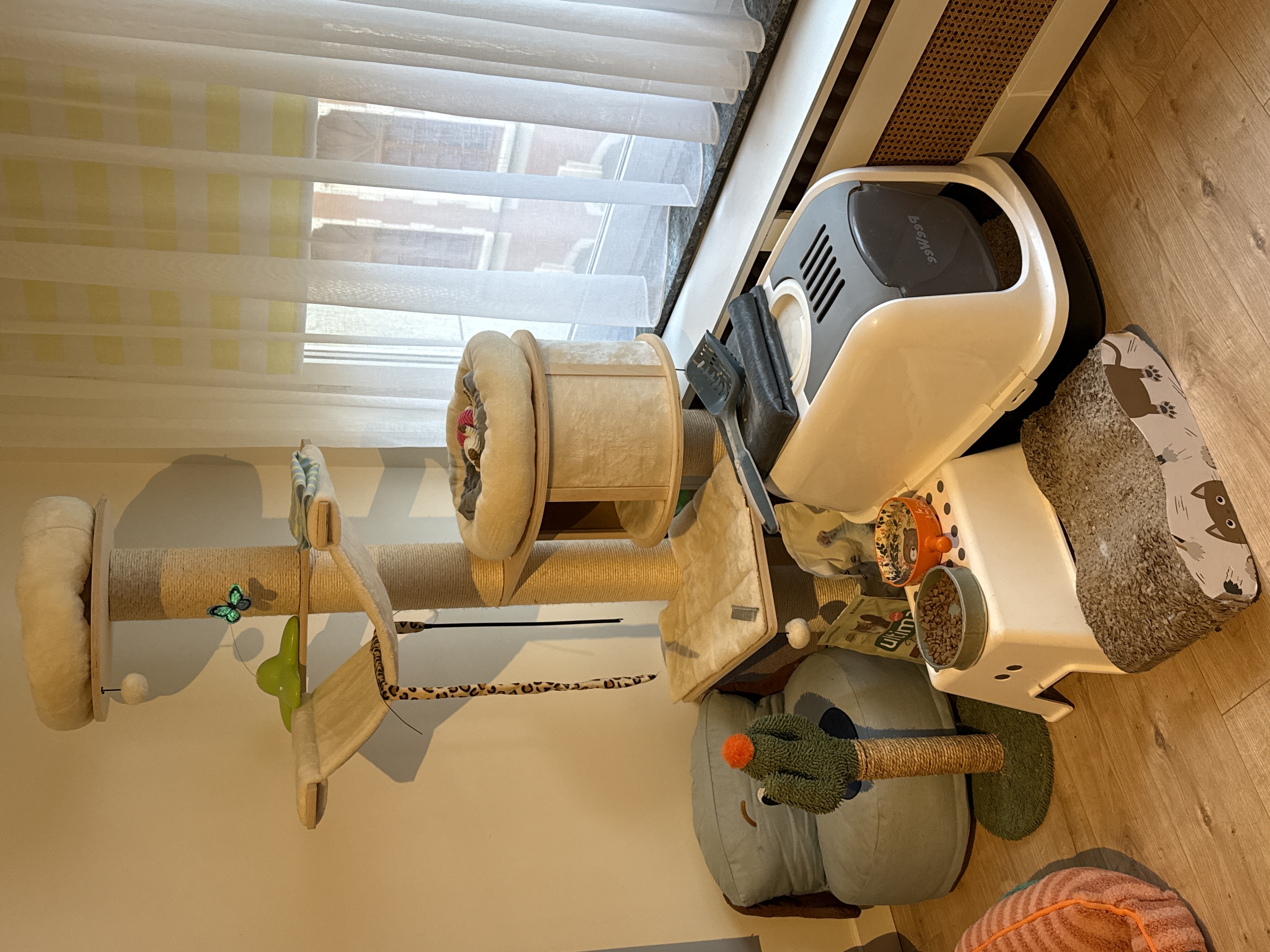 image-8
