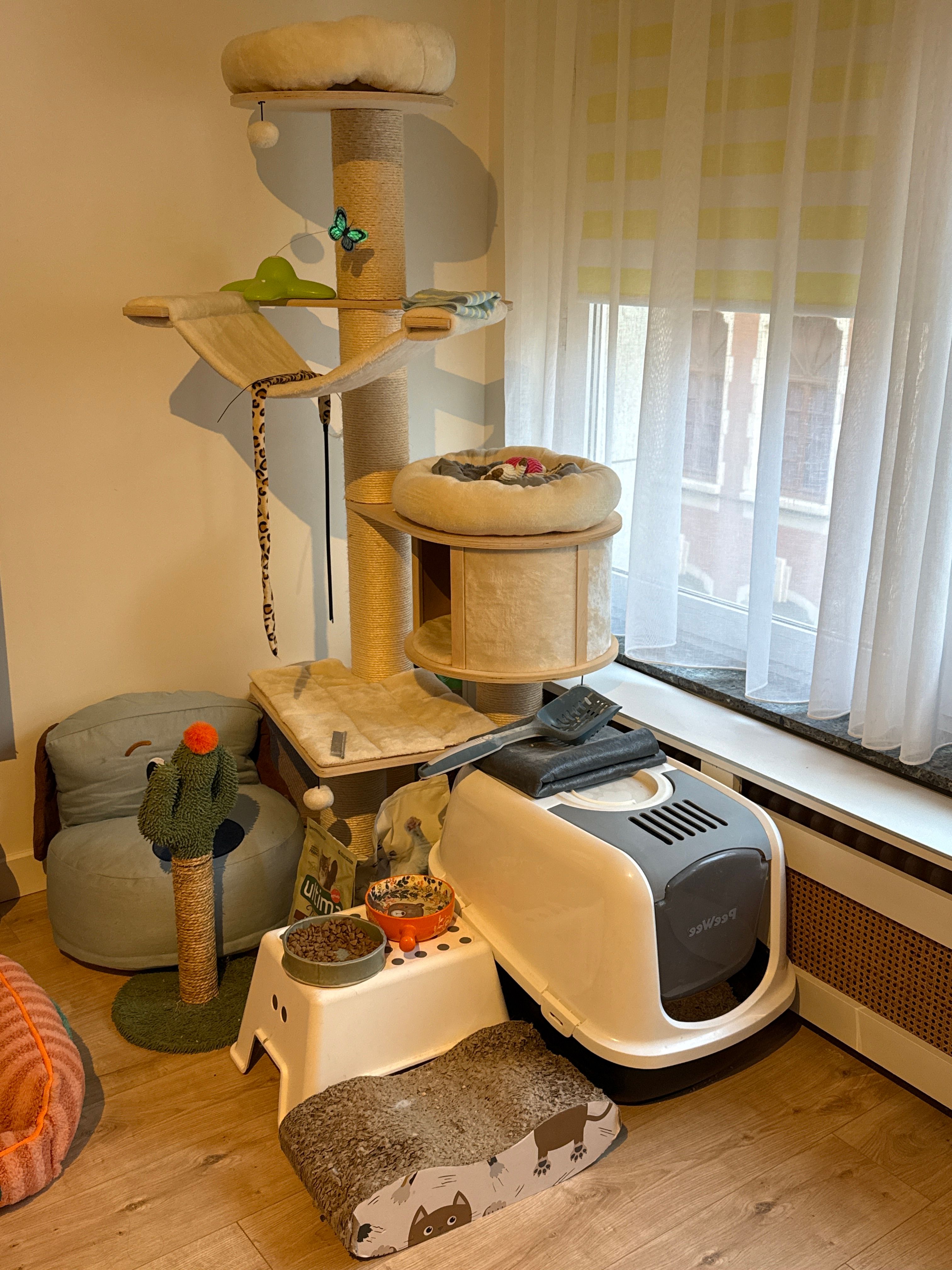 image-8