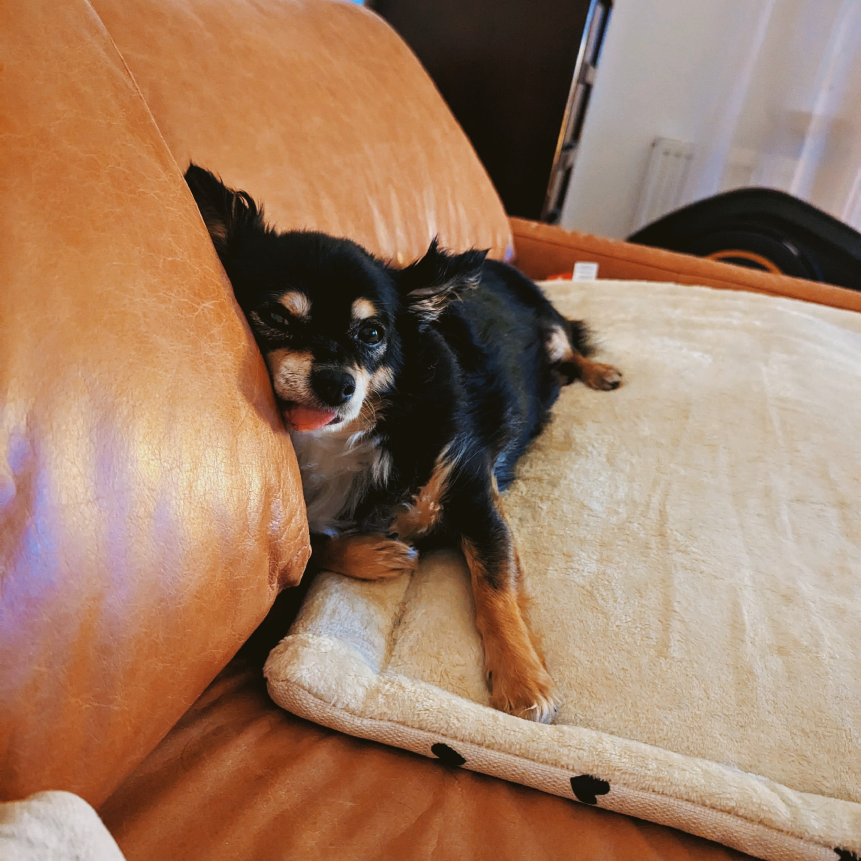 Kira
