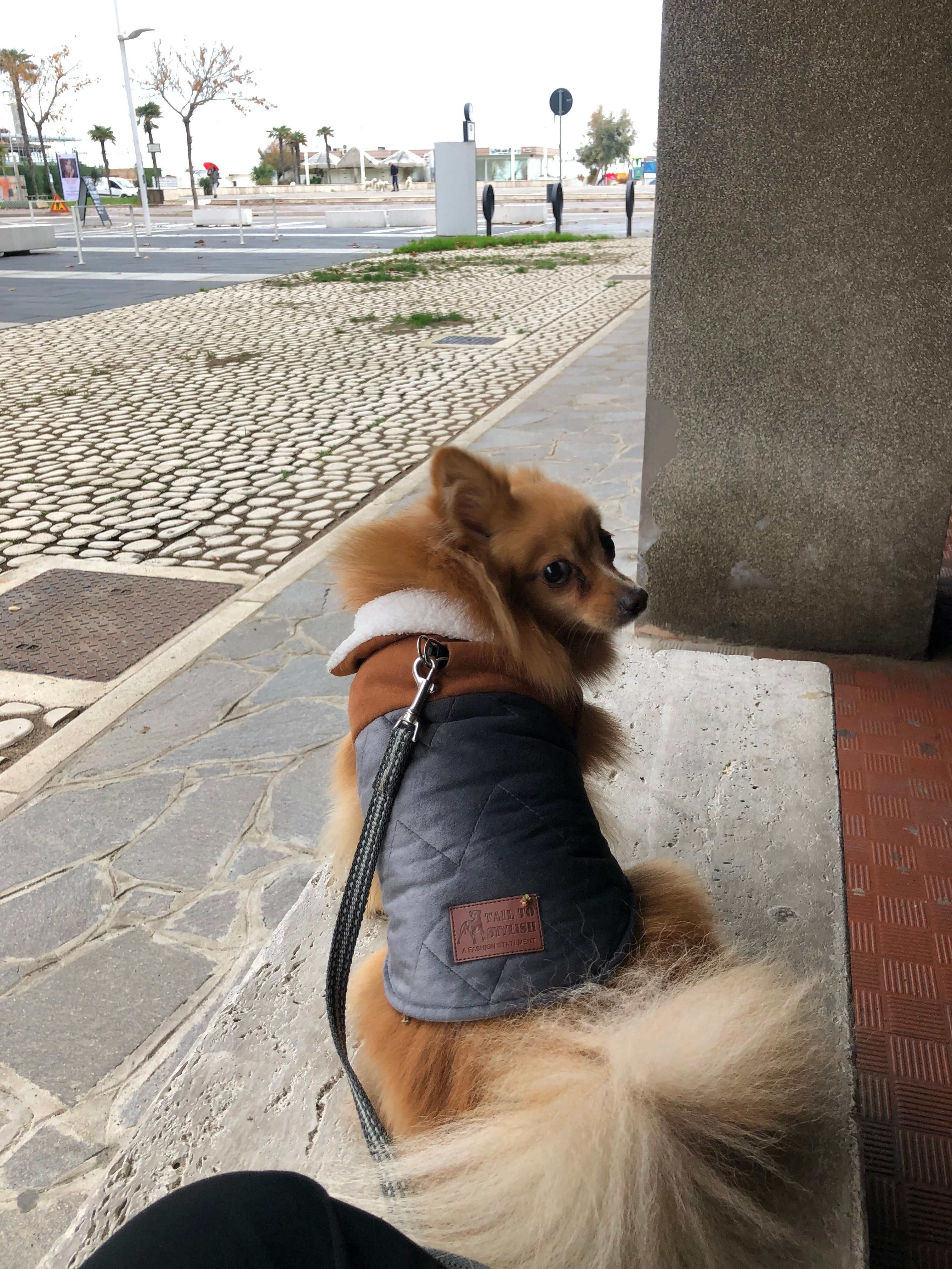 image-10