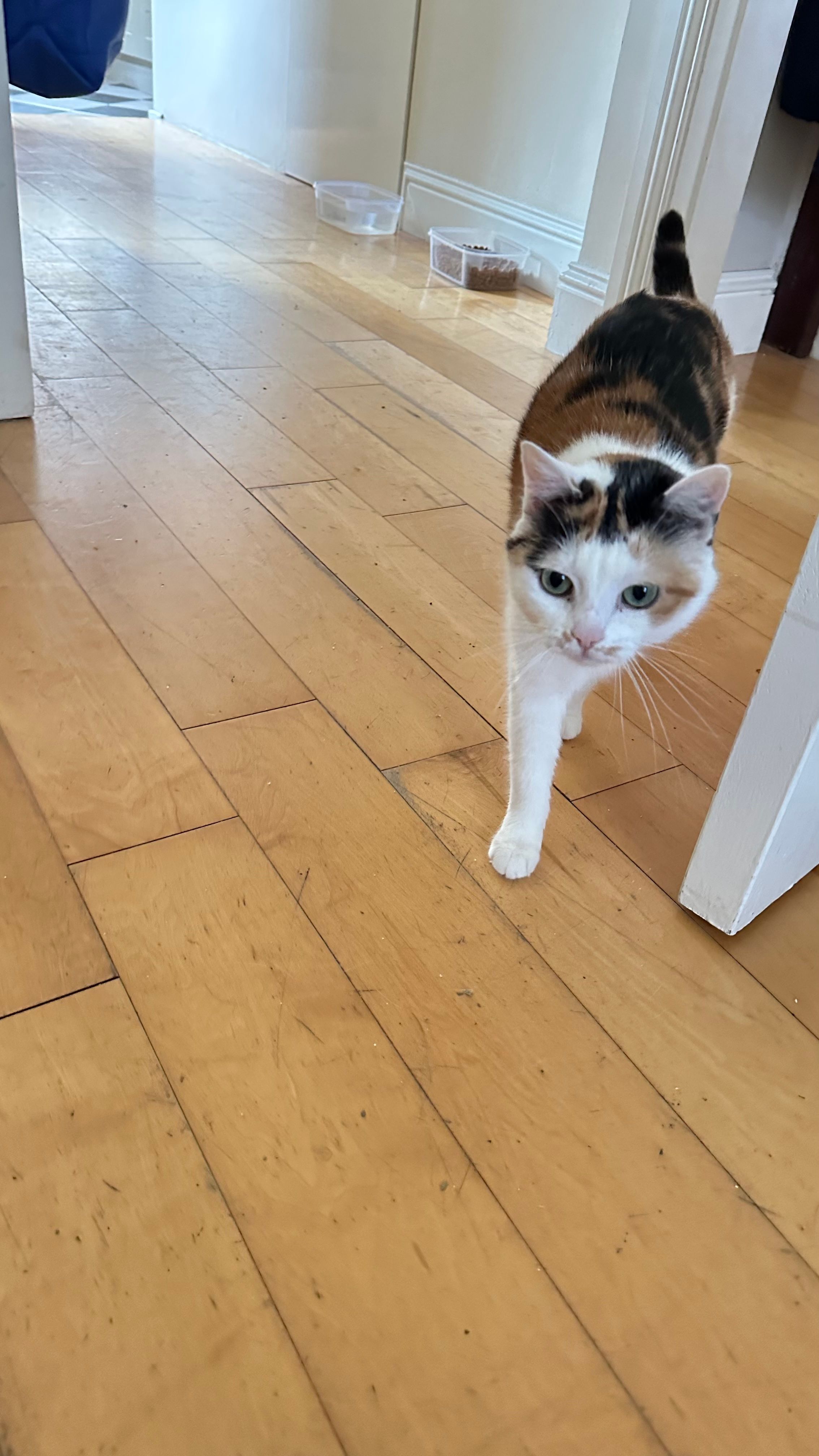 image-18
