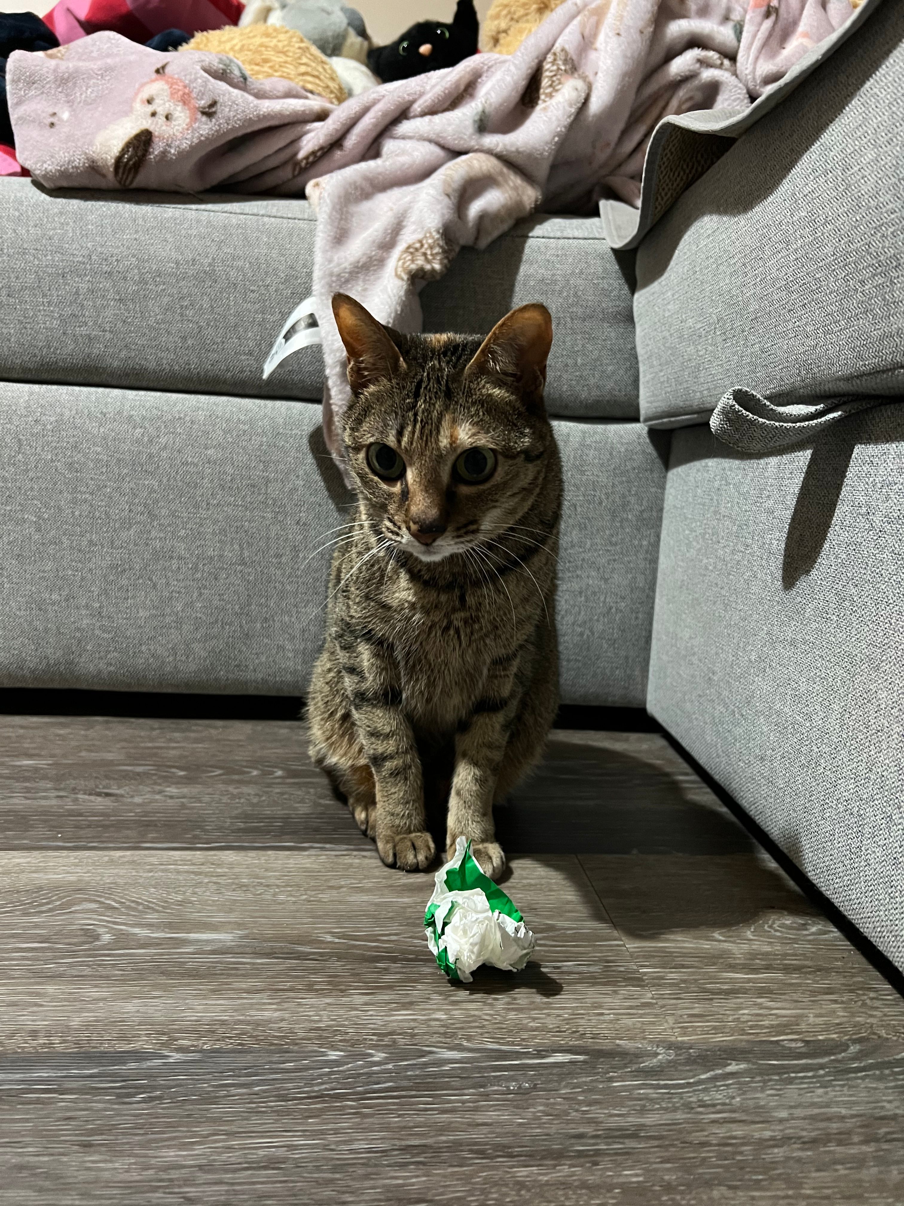 image-18