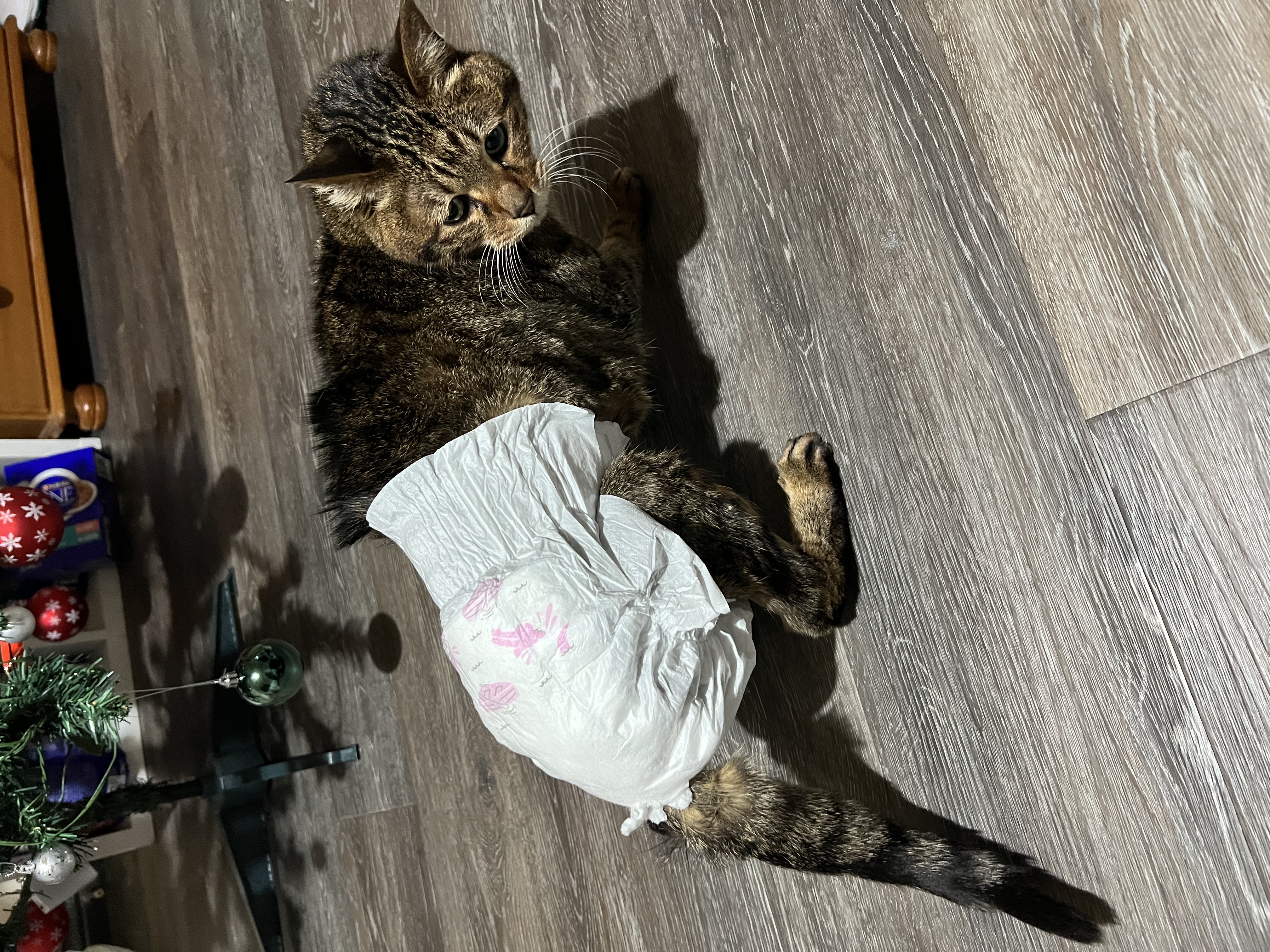 image-8