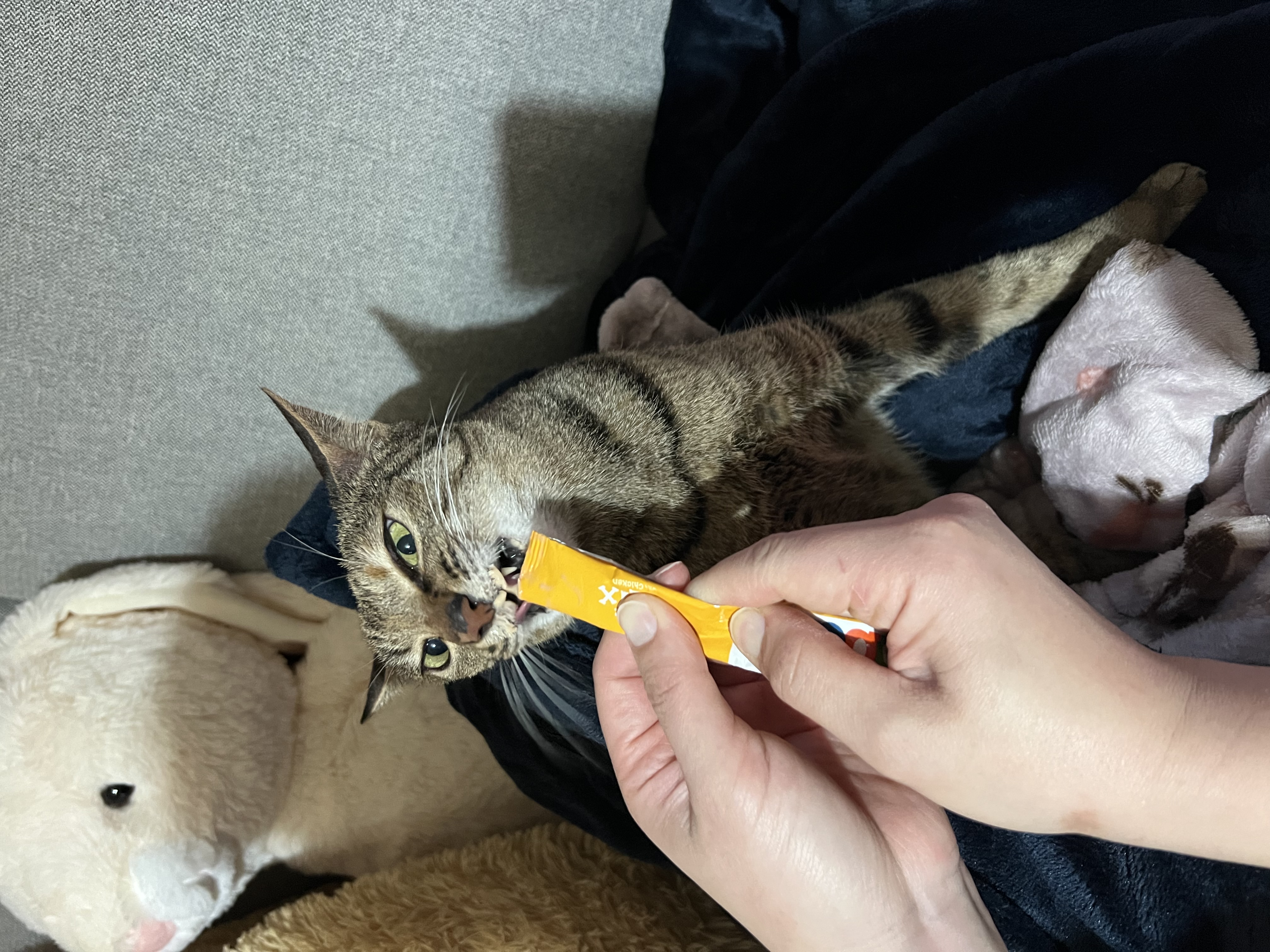 image-7