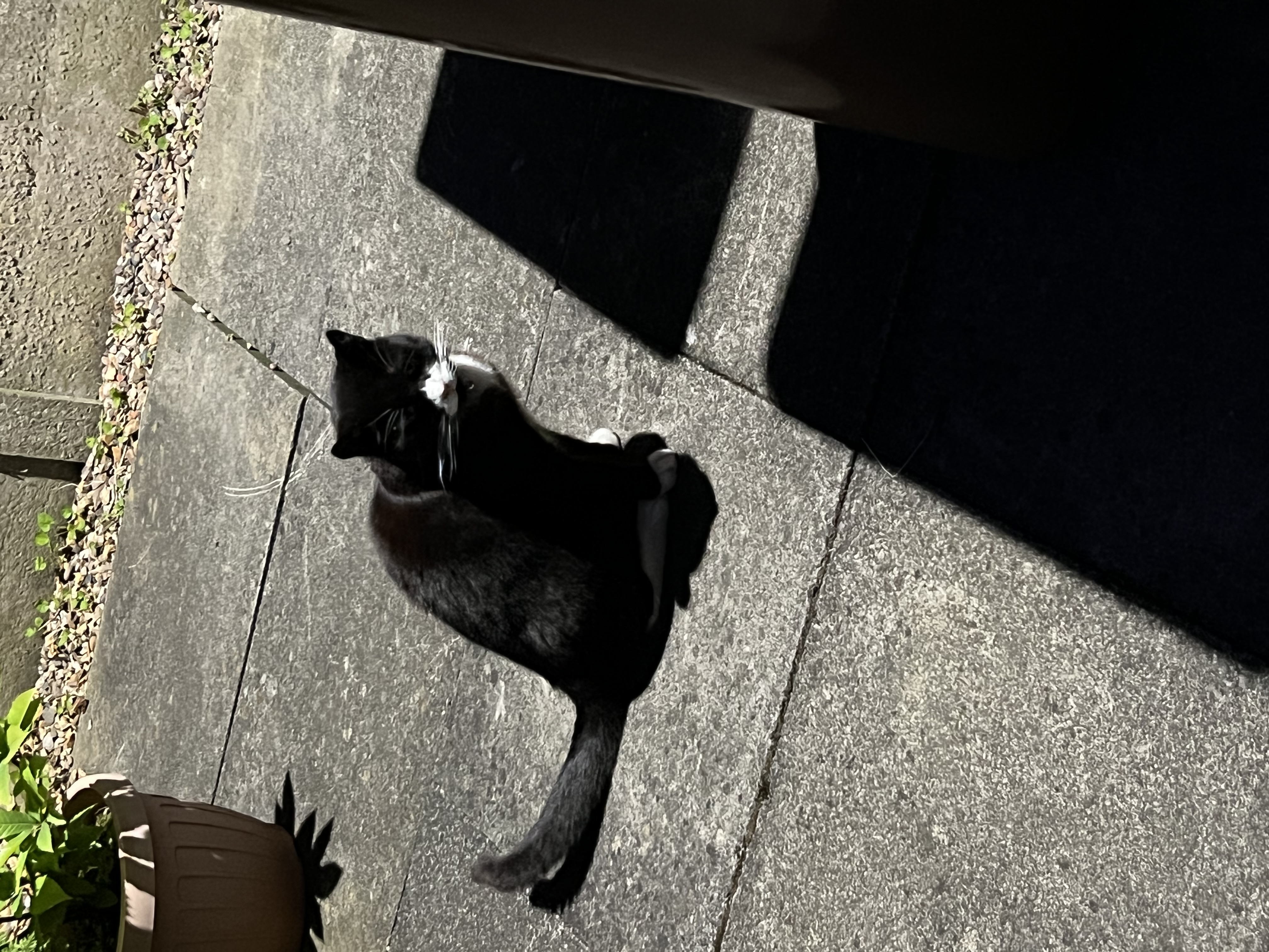 image-16