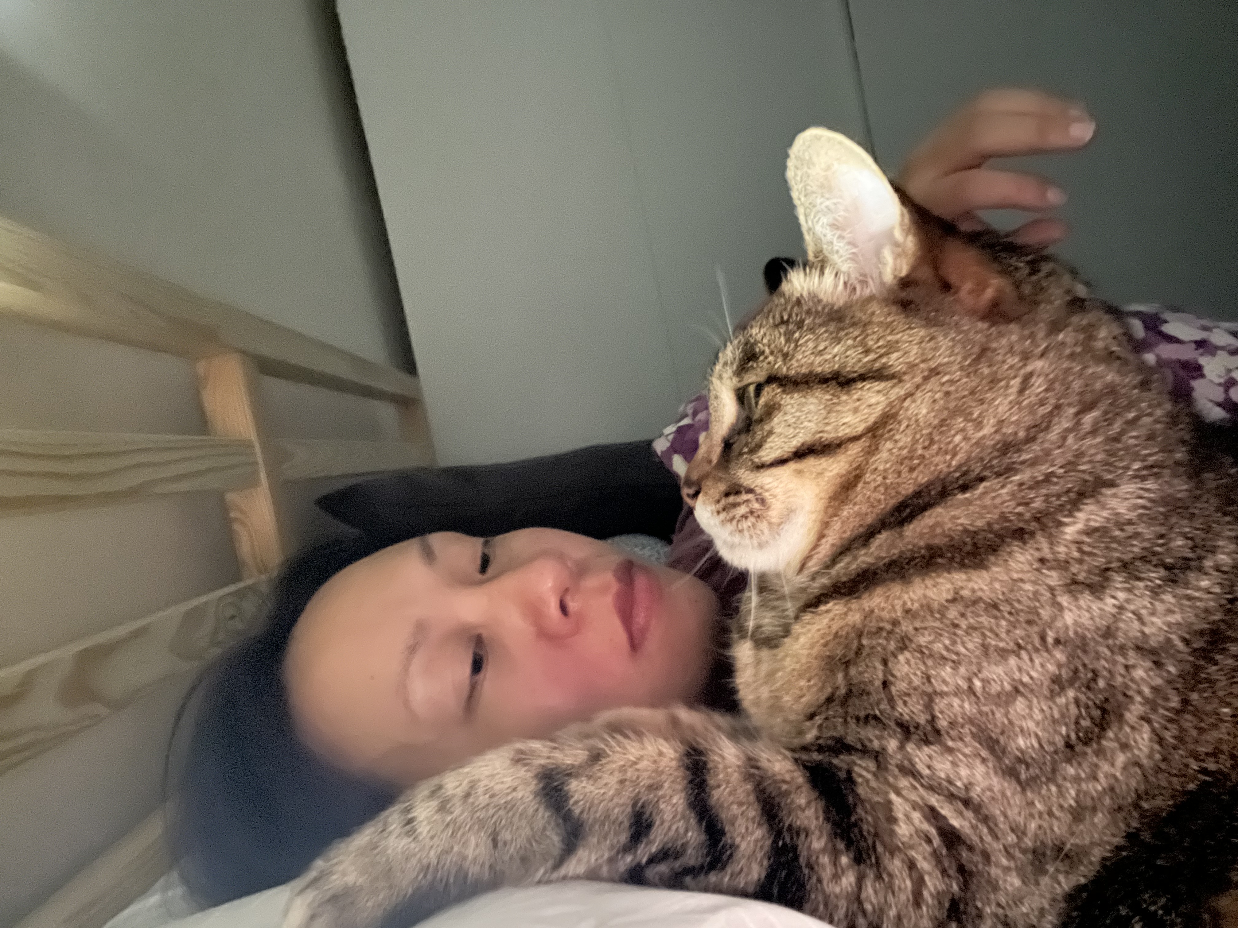image-11
