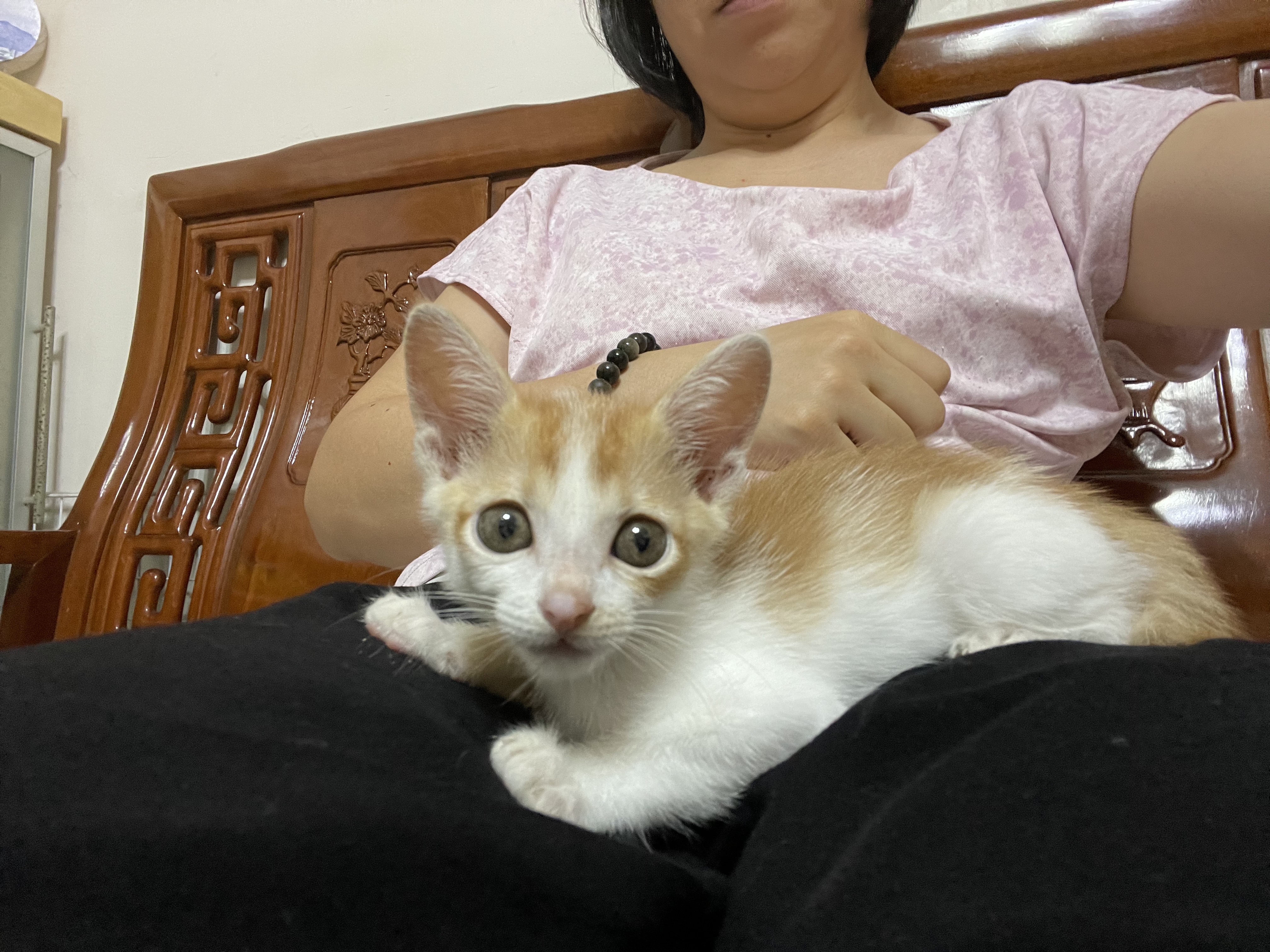 image-27