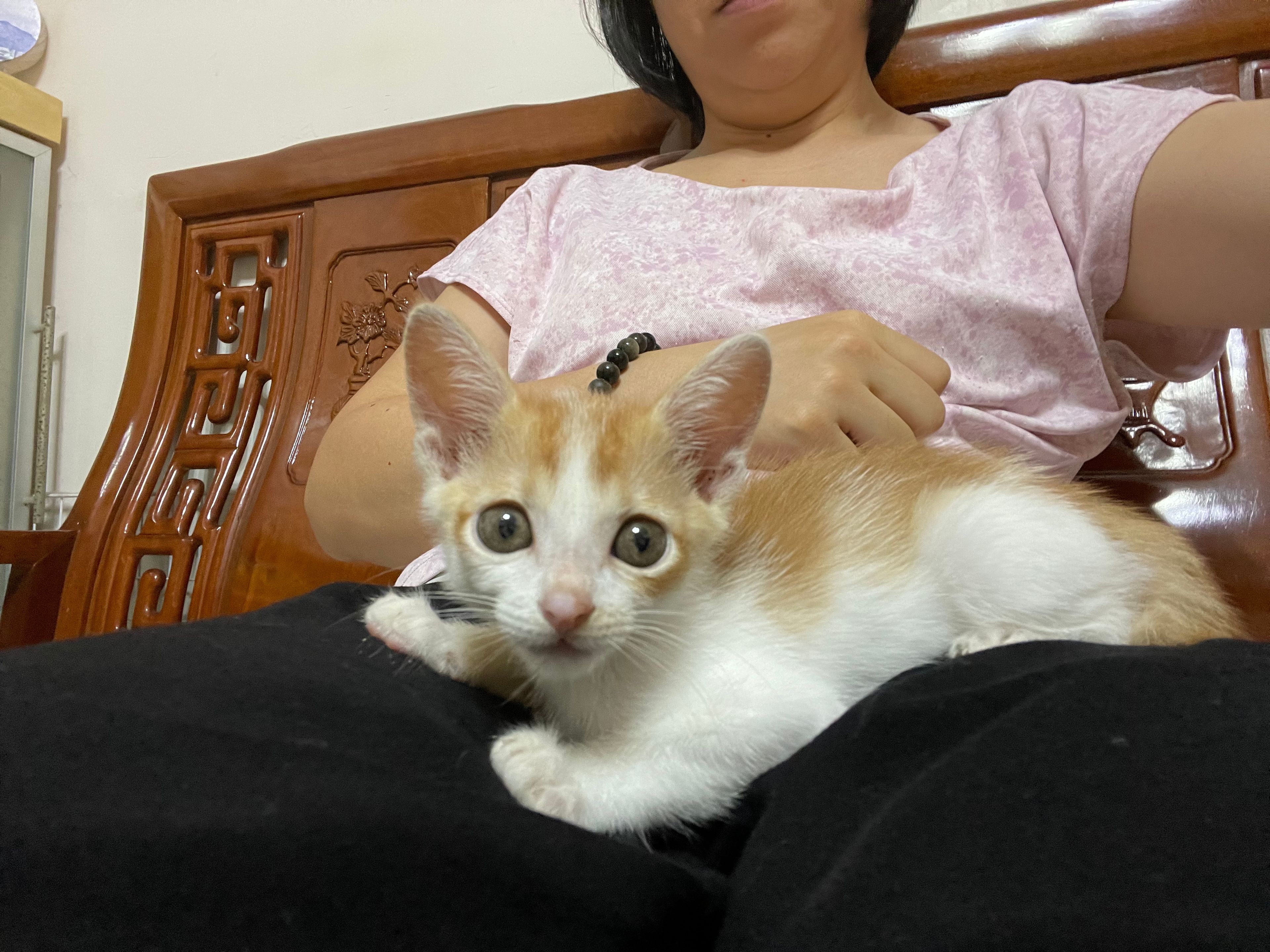 image-27