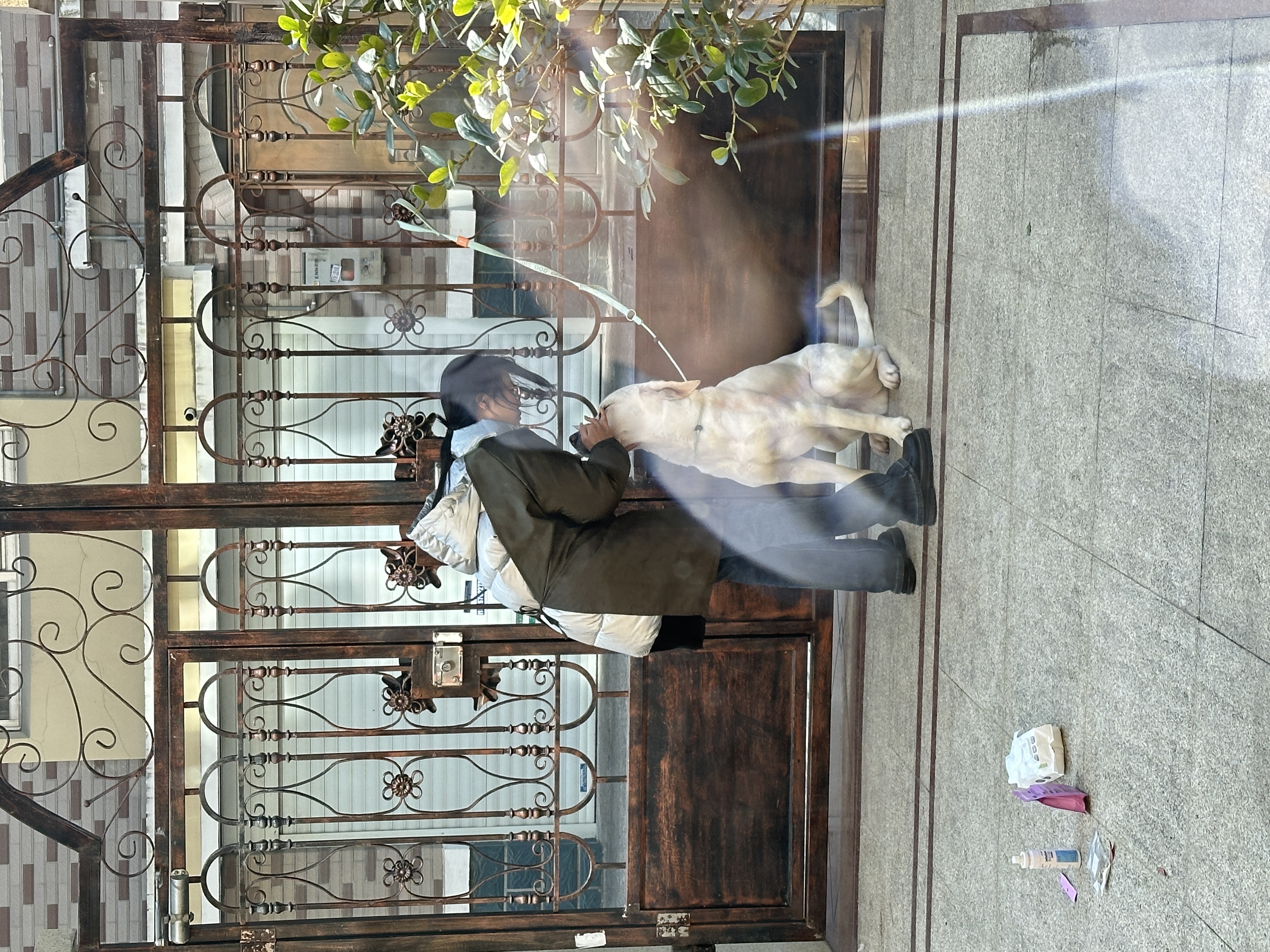 image-8