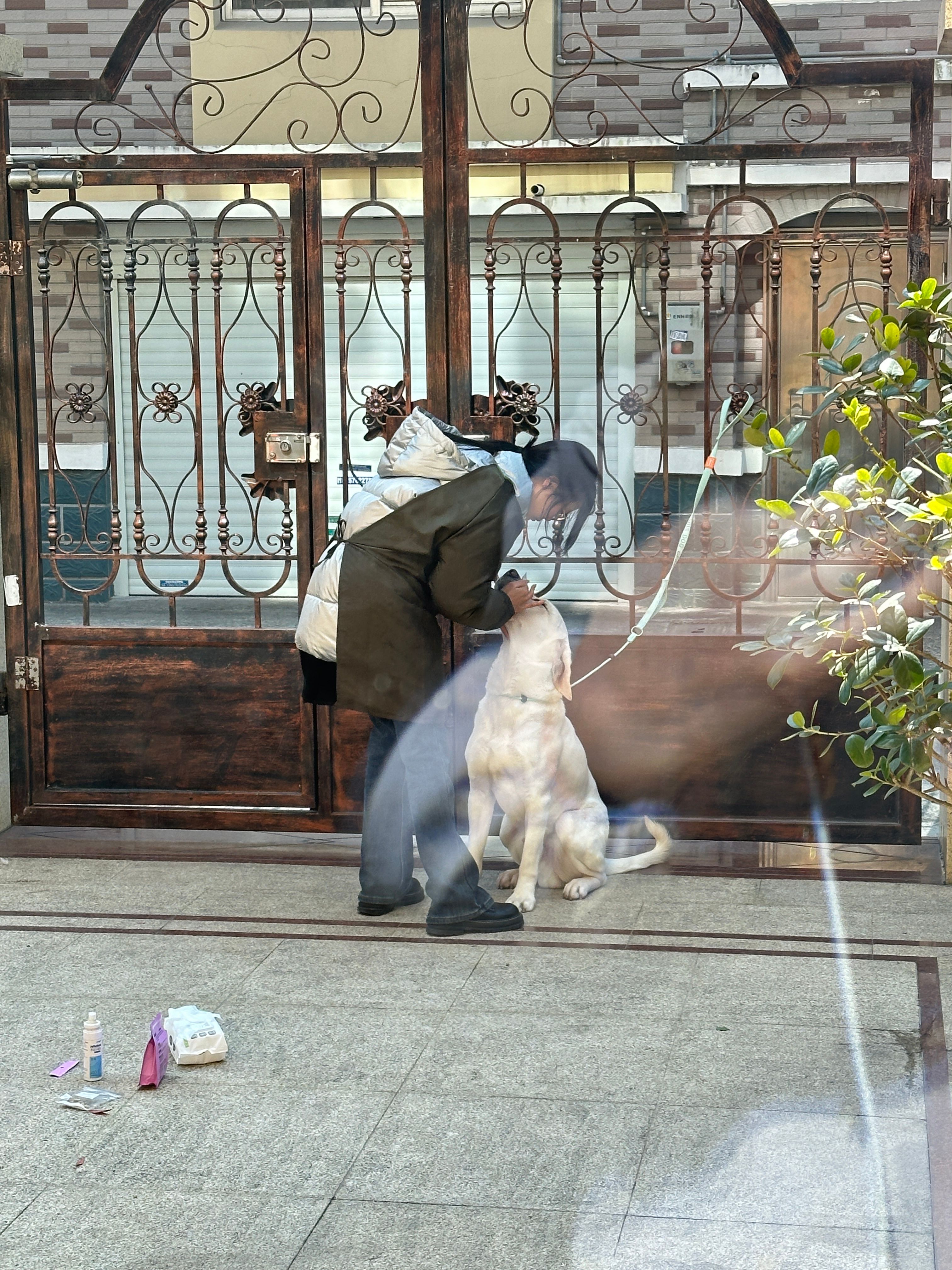 image-8