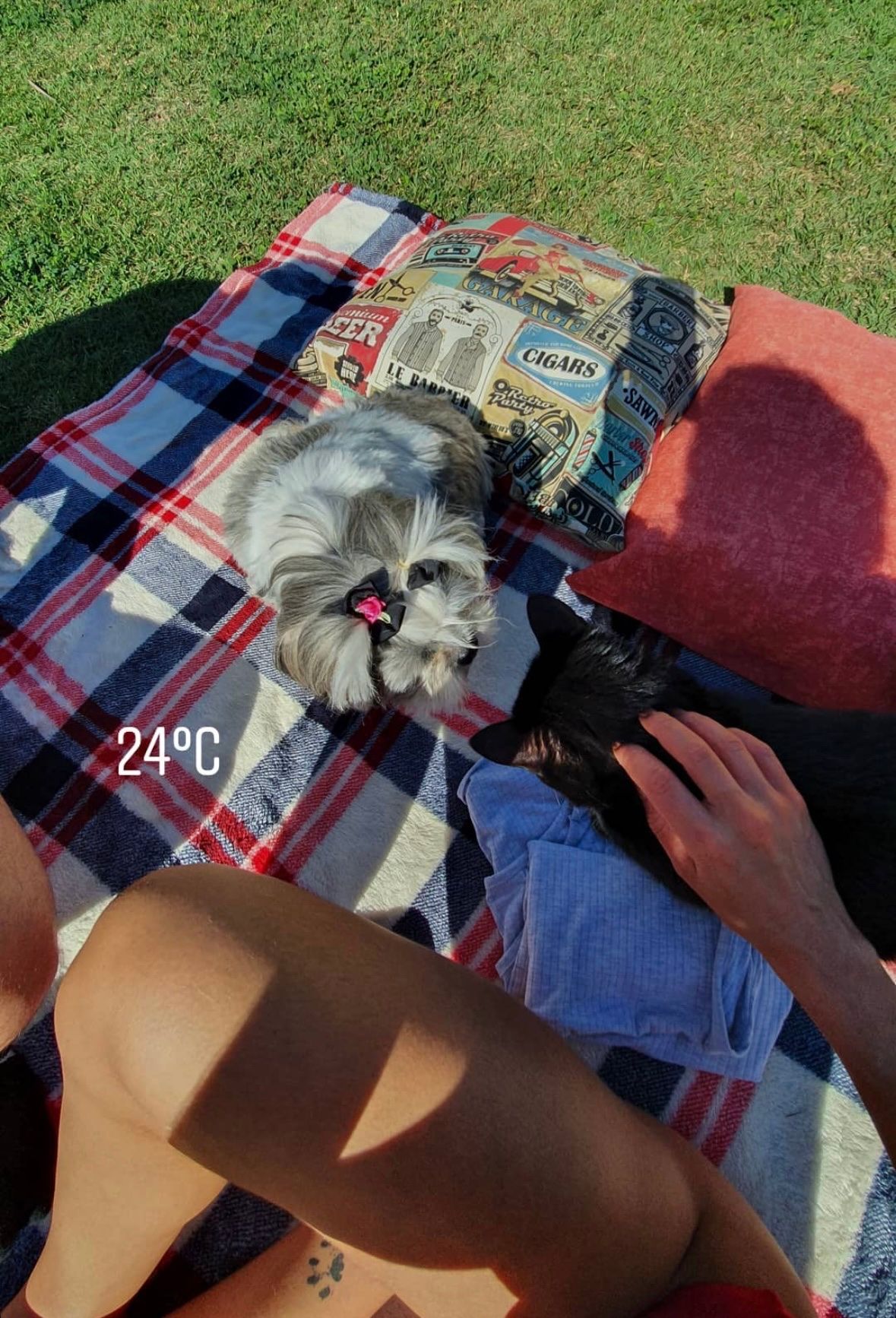 image-4
