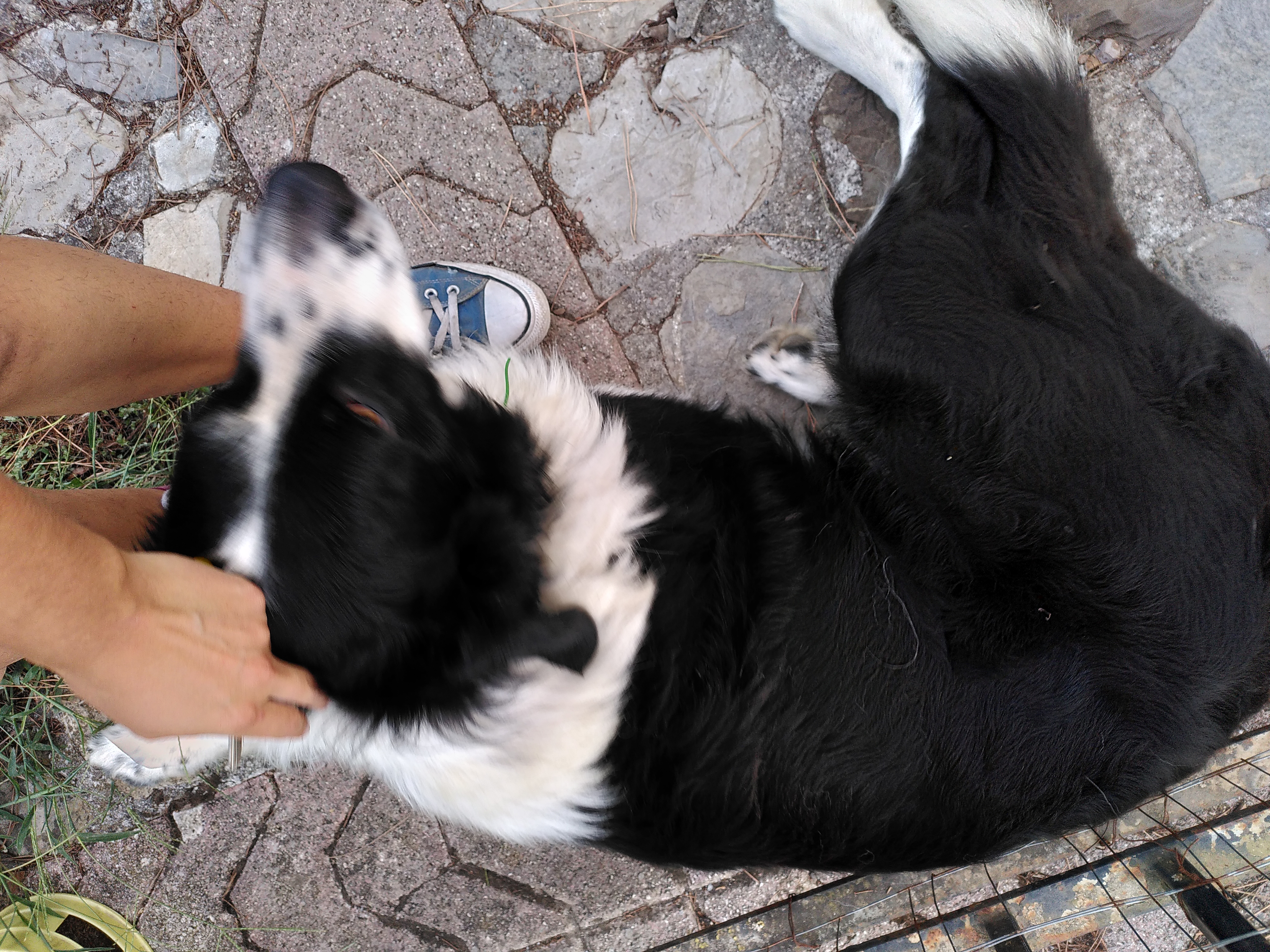 image-8