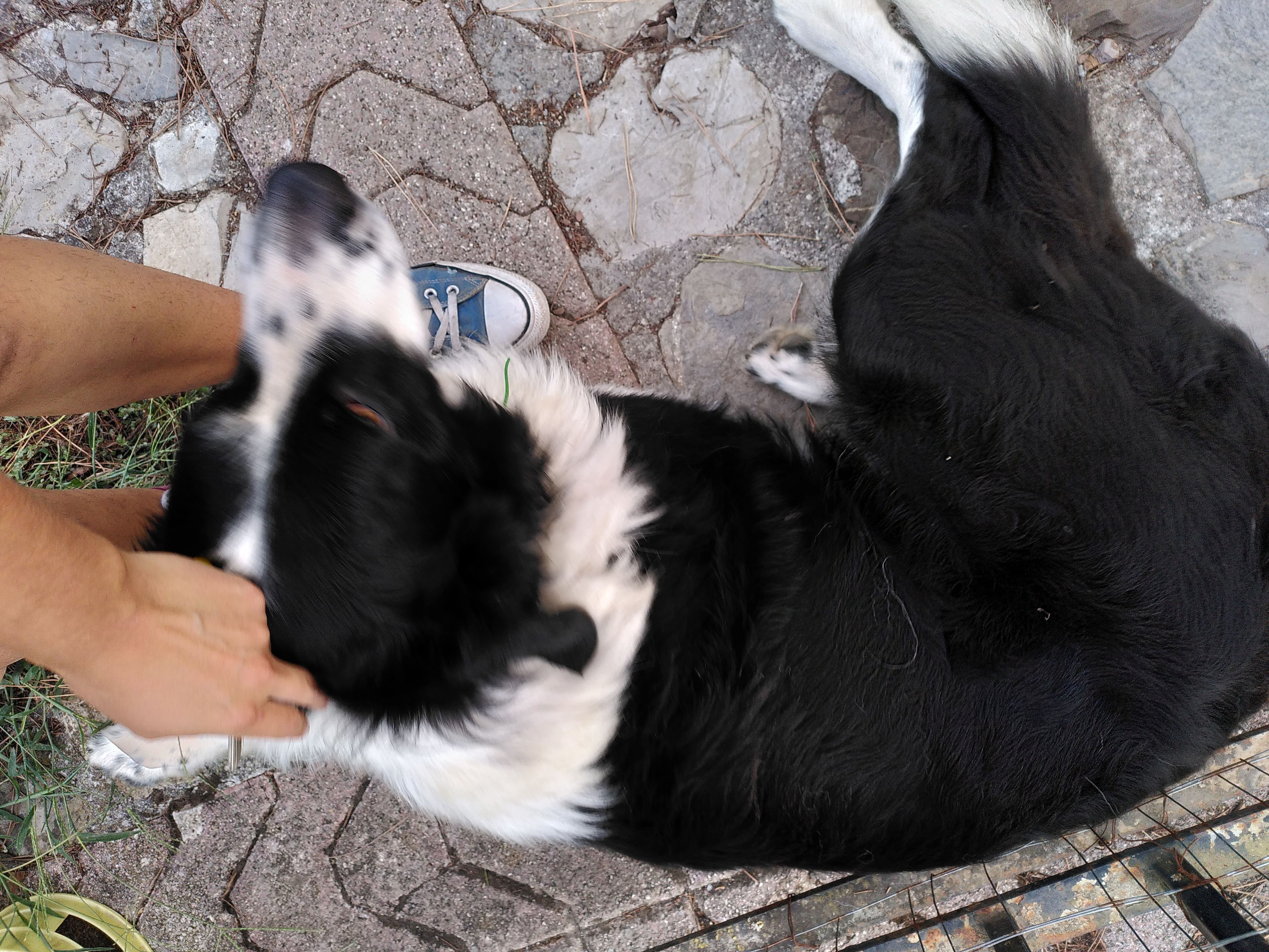 image-8
