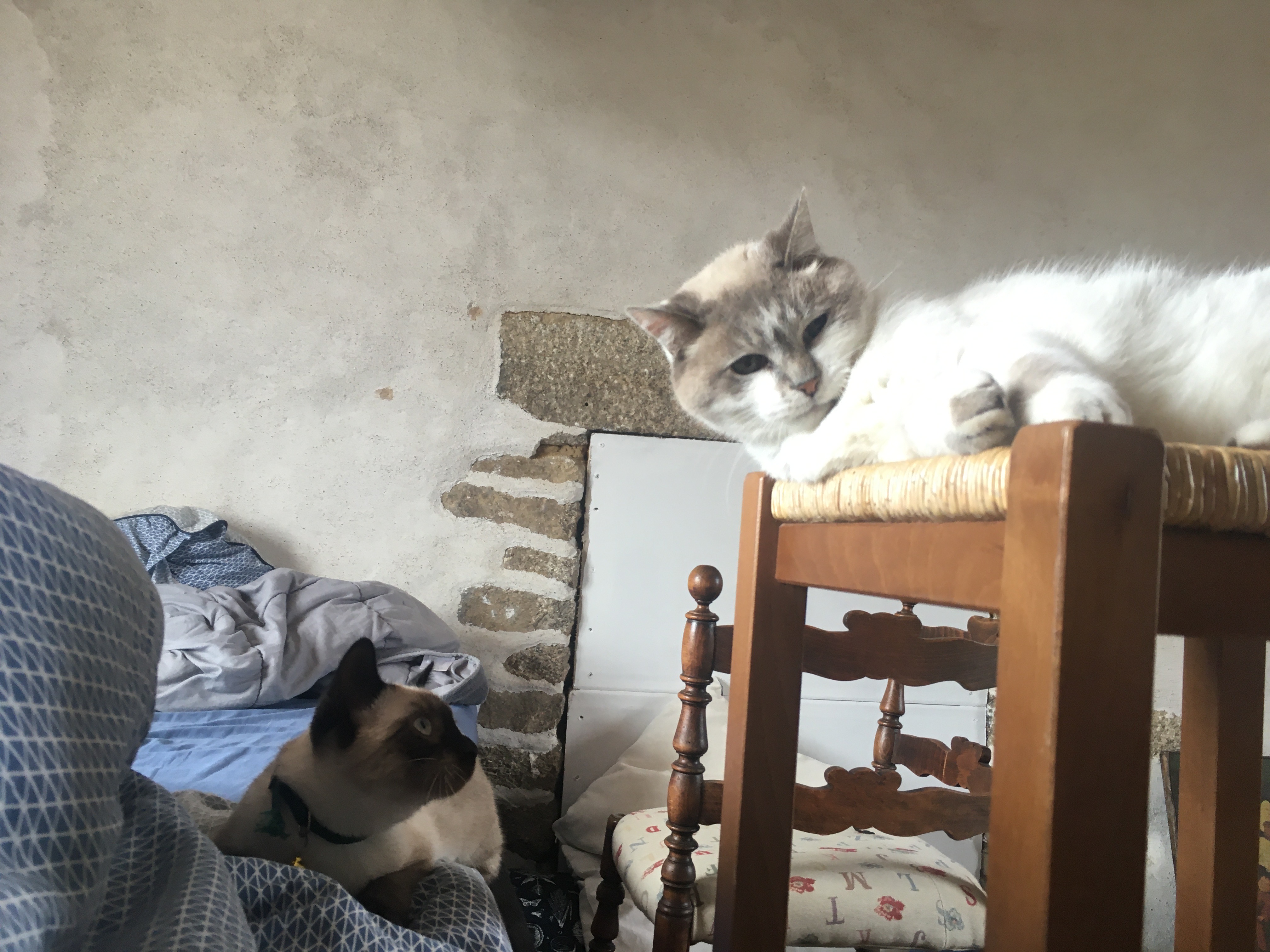 image-13