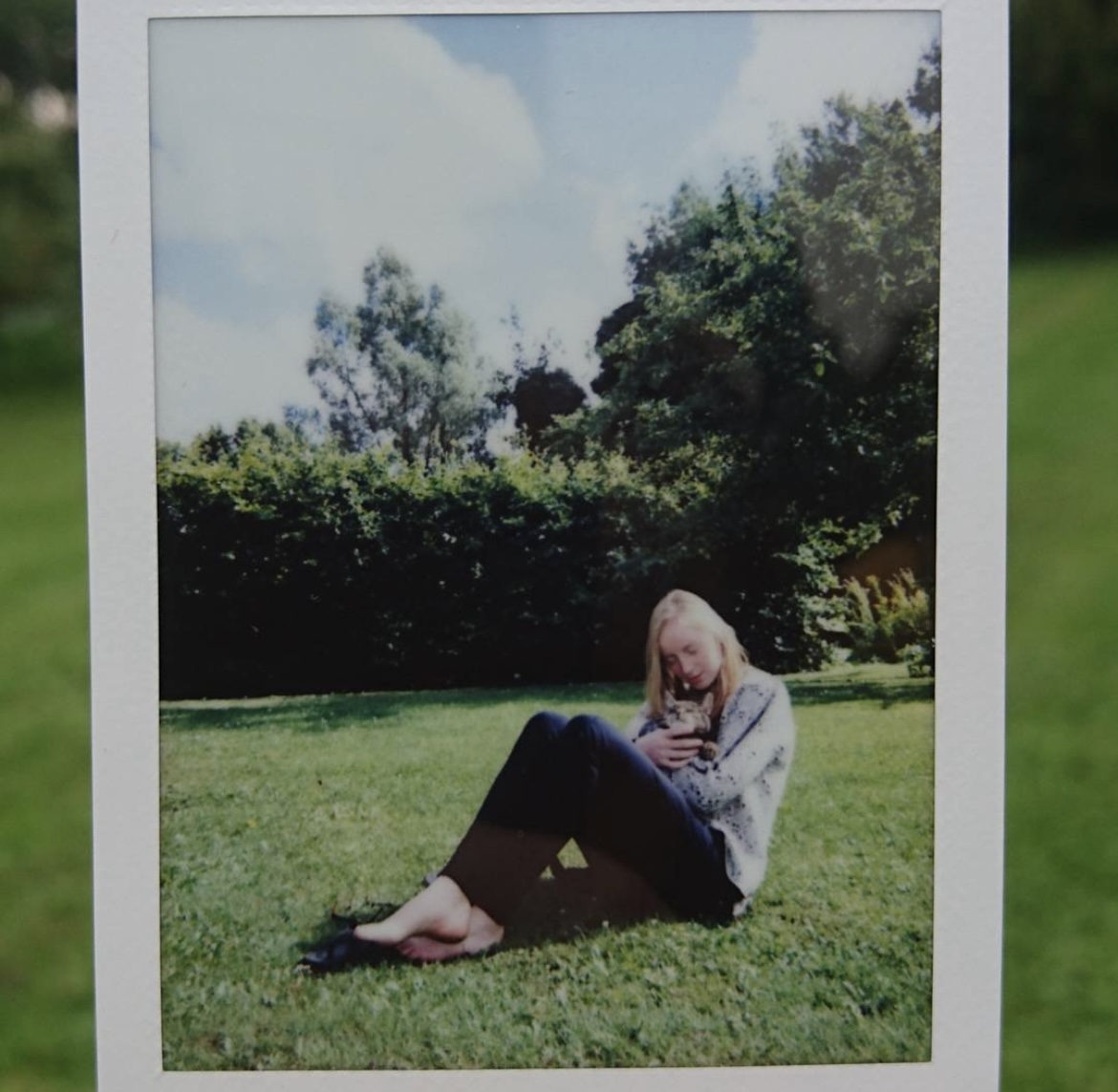 image-2