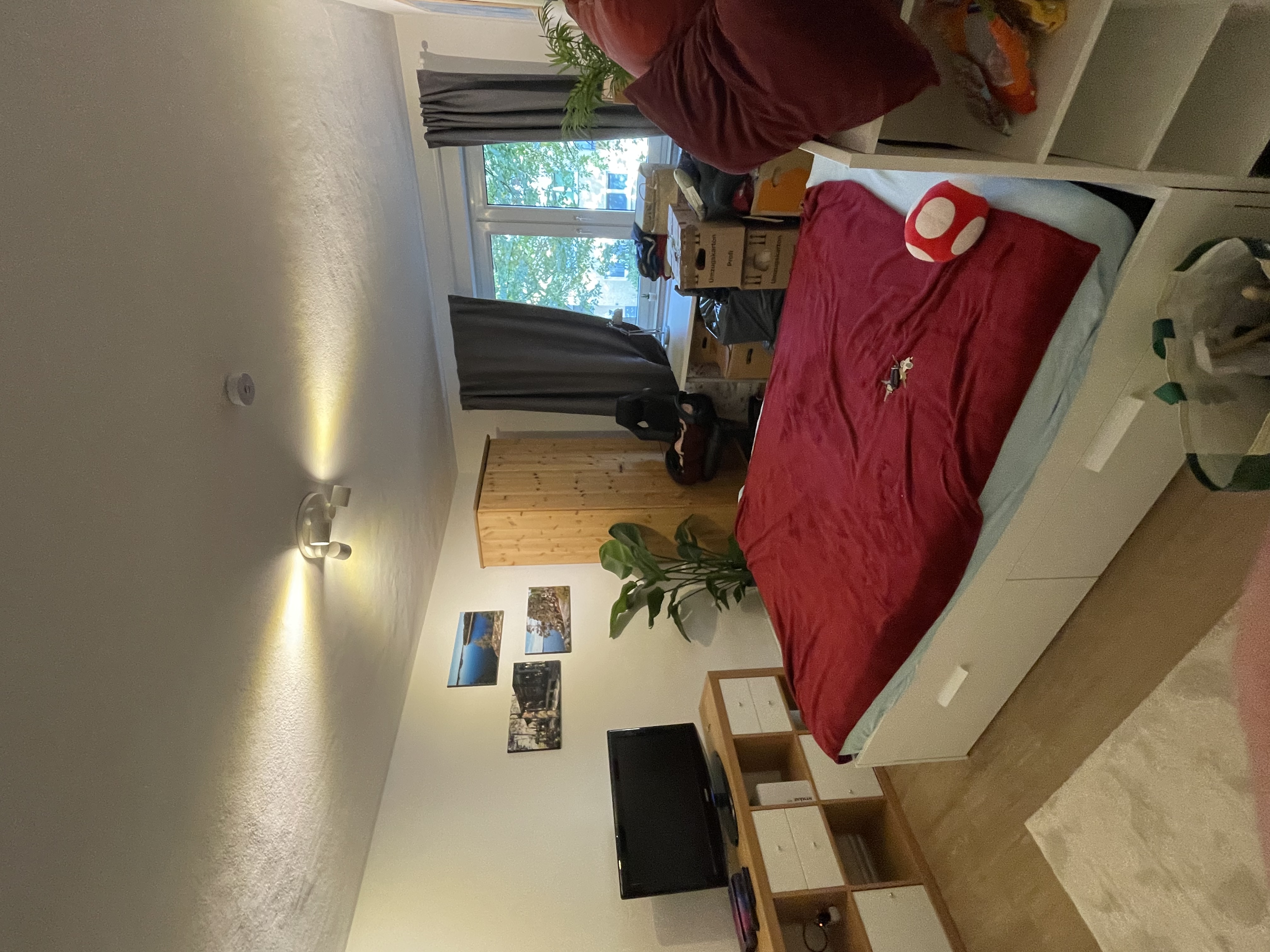 image-15