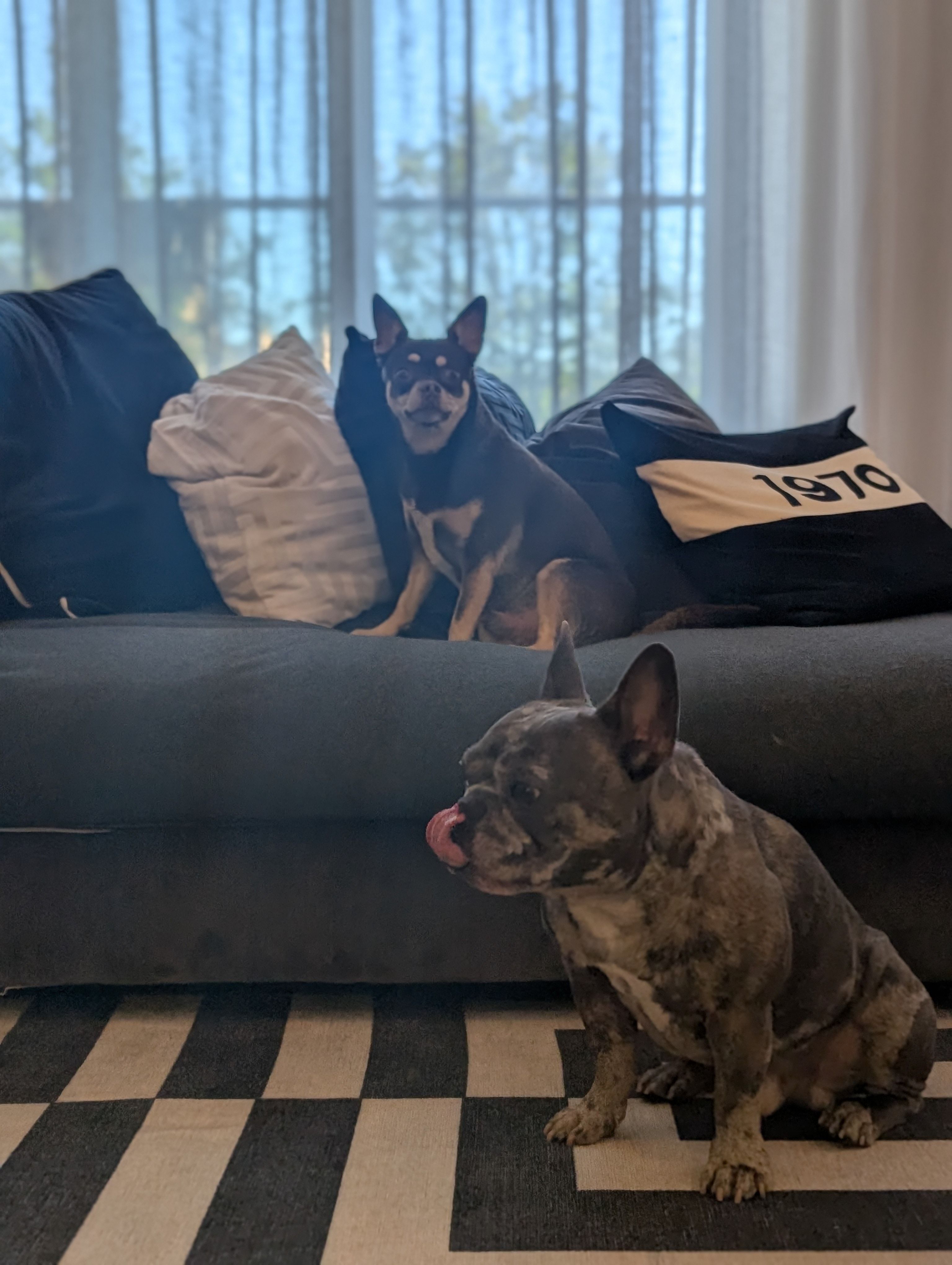 image-5