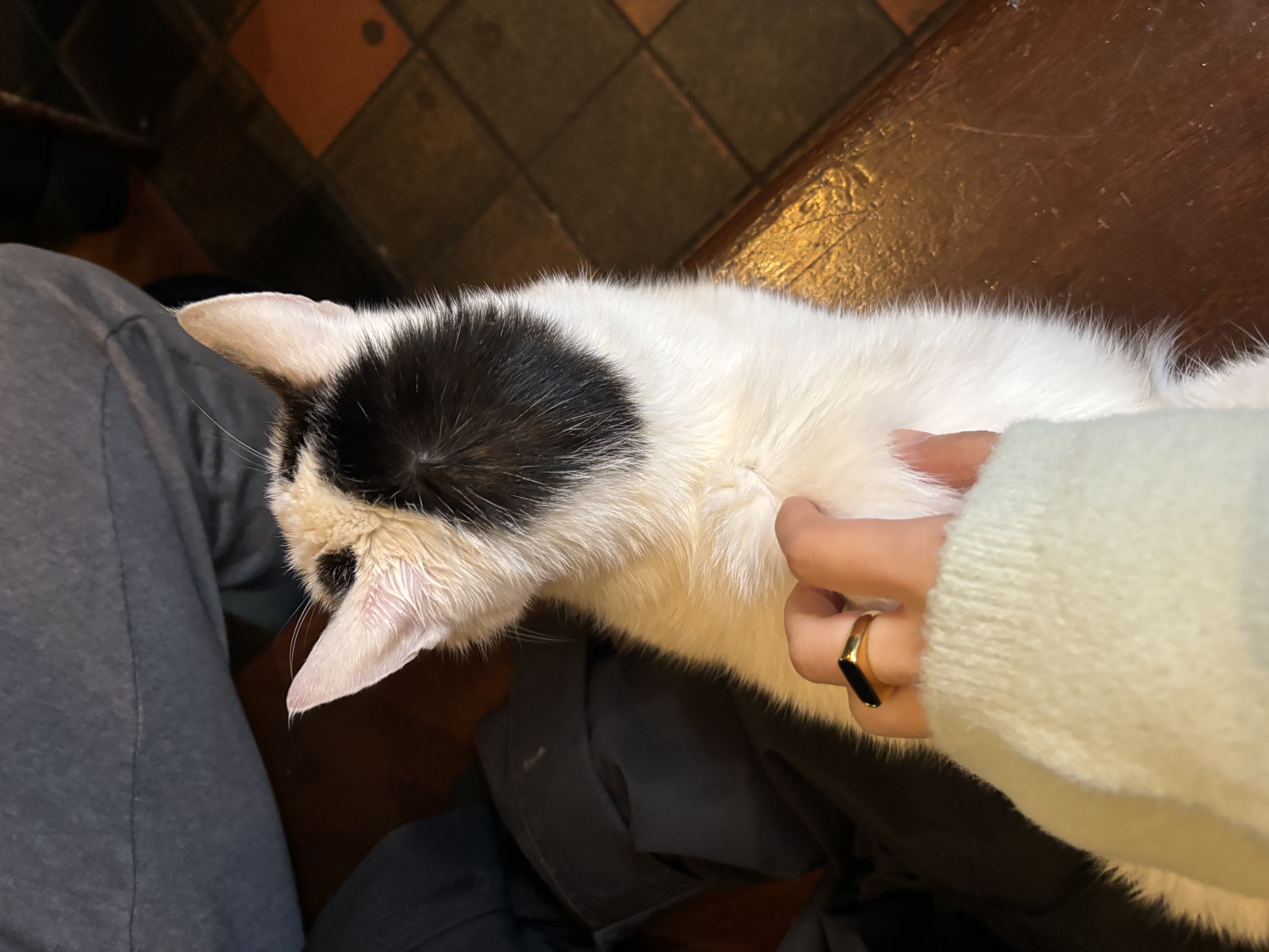 image-13