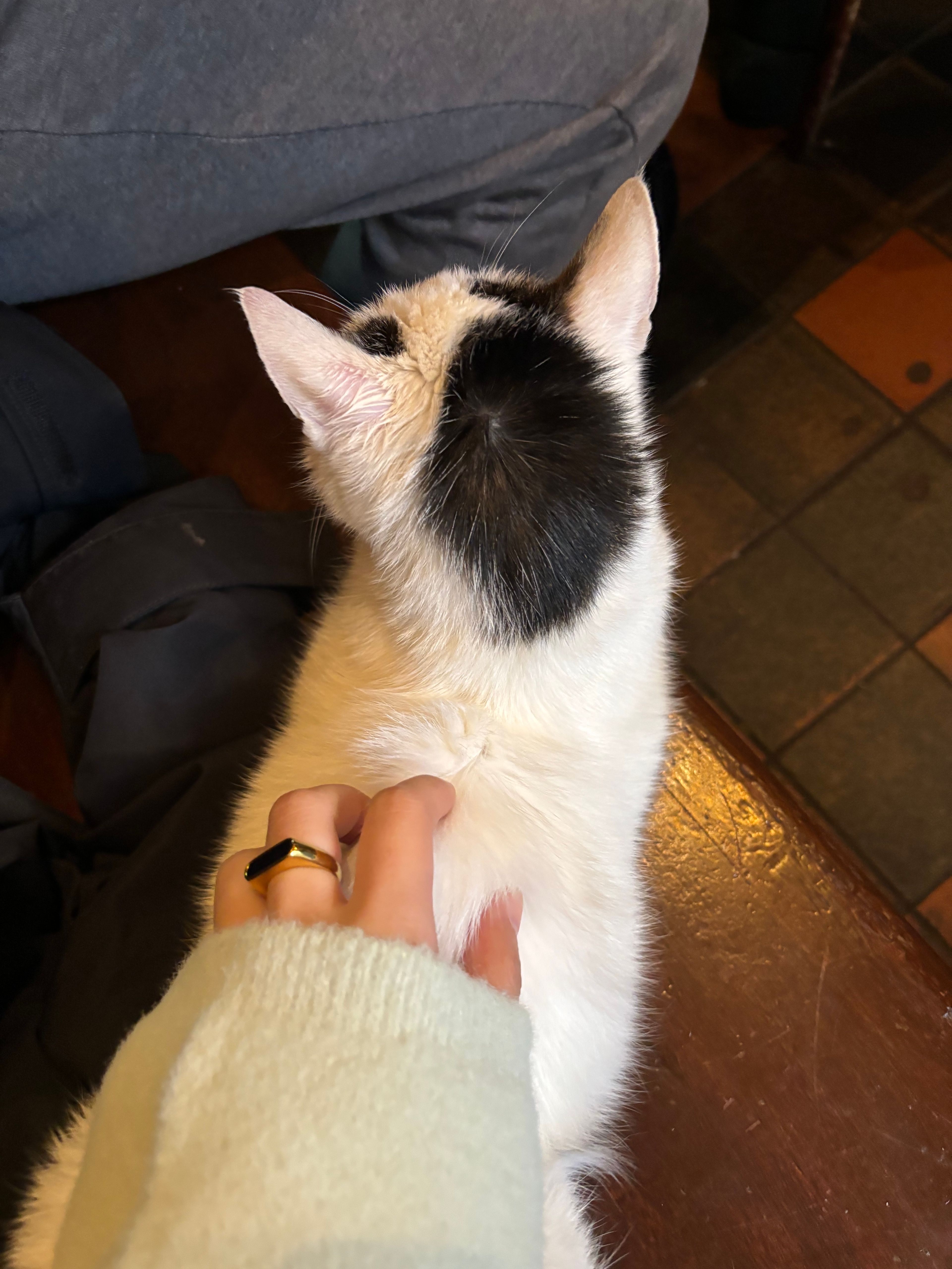 image-13