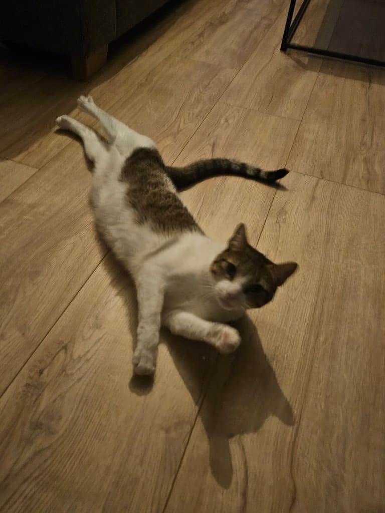 image-42