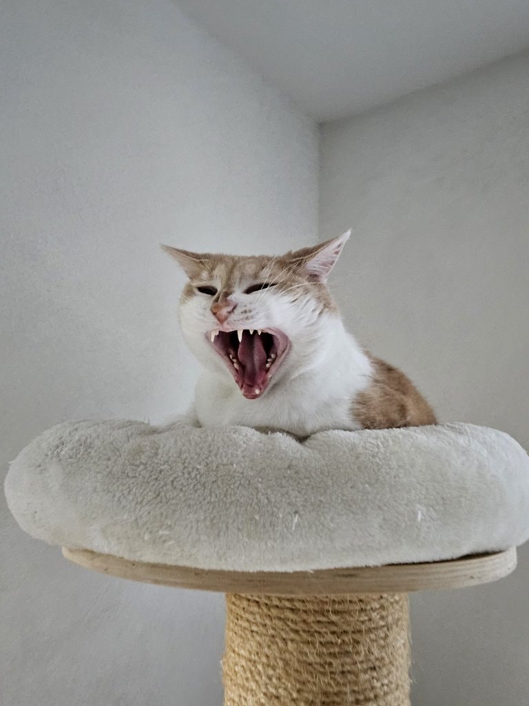 image-18
