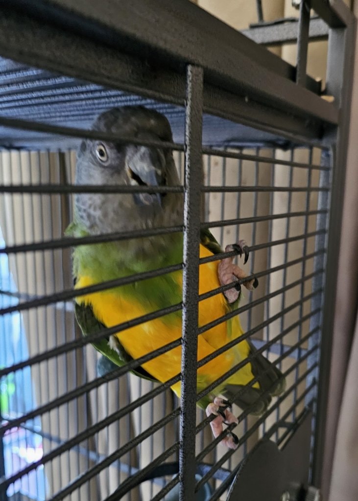 image-23