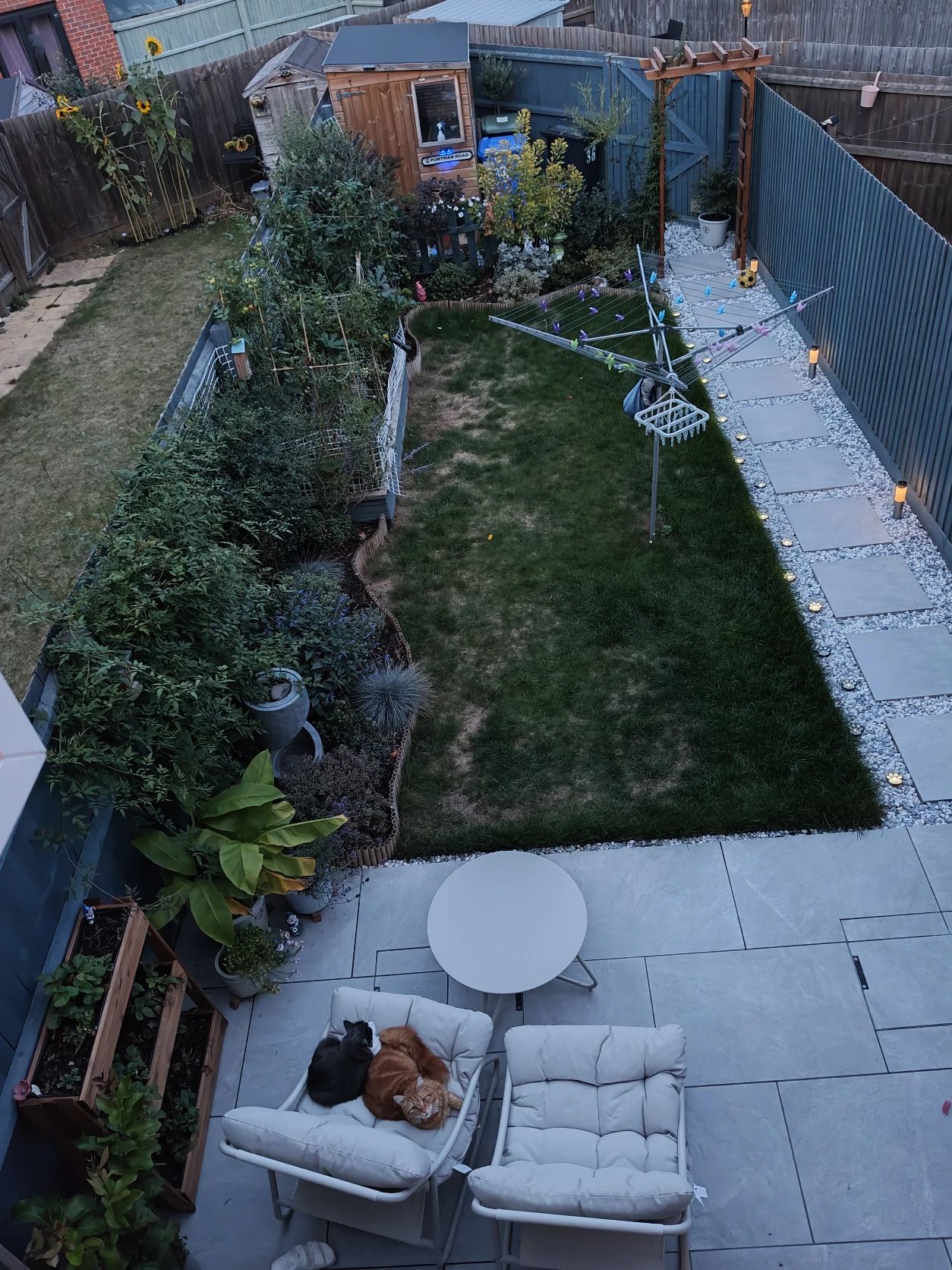 image-16
