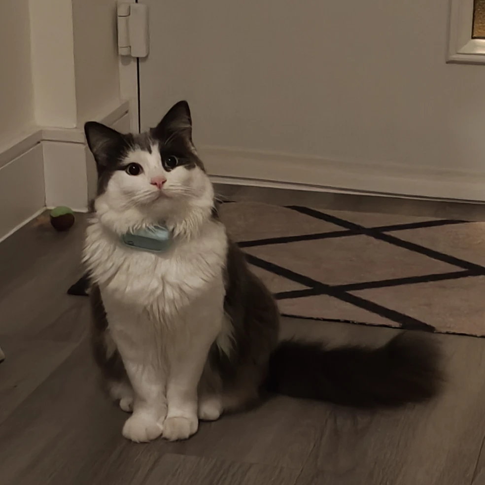 Oscar